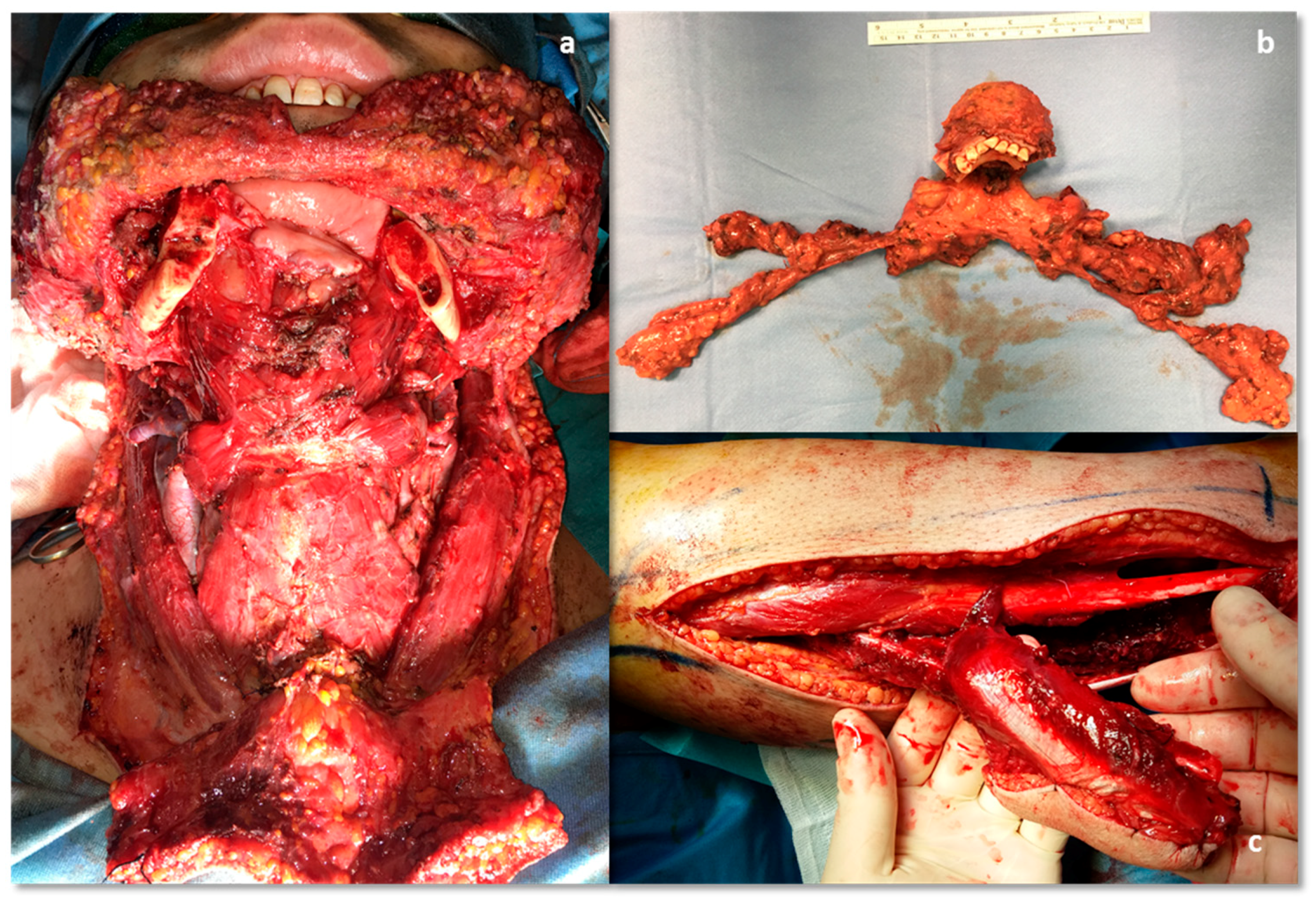 Reports 03 00012 g009