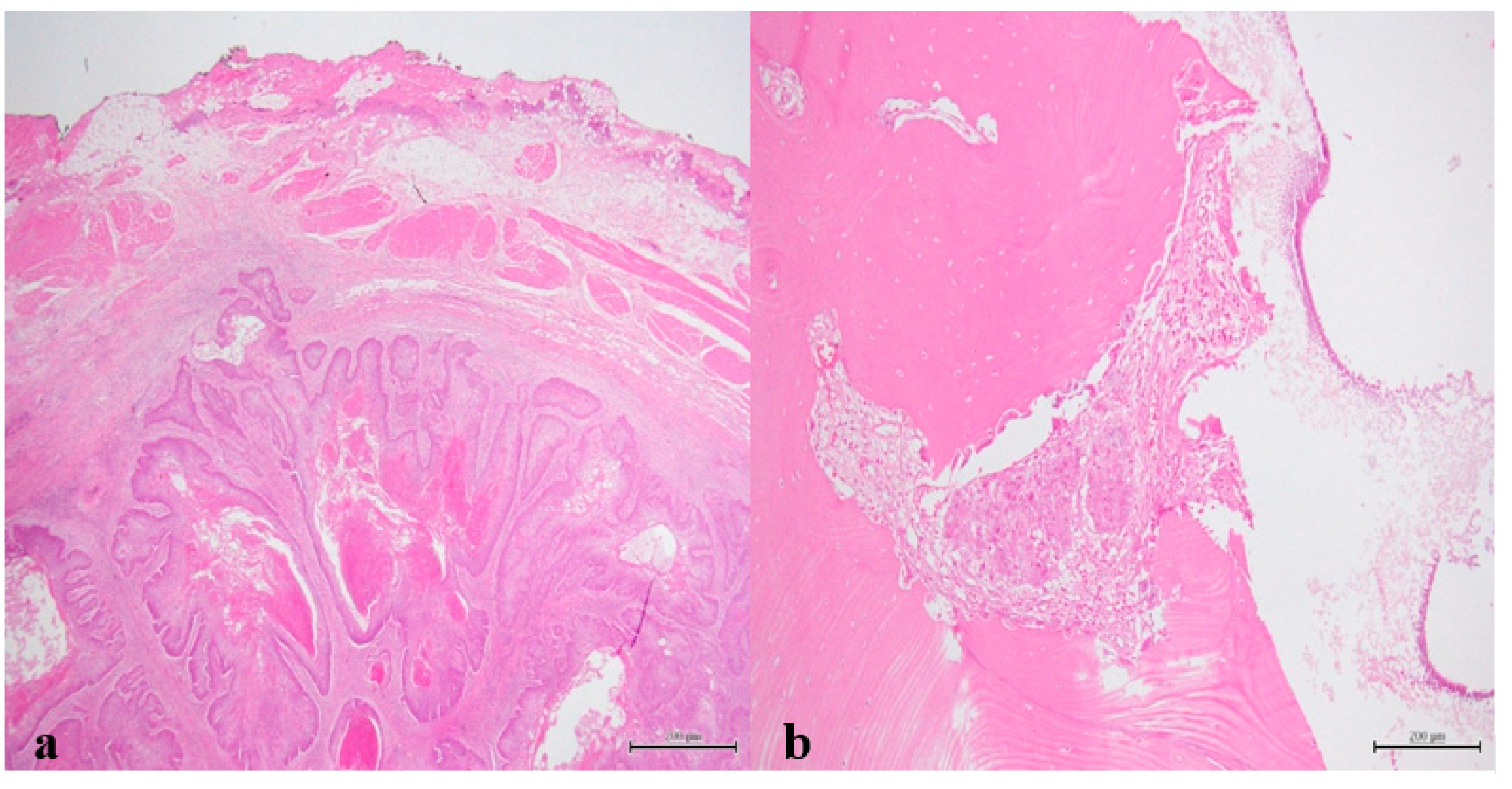 Reports 03 00012 g010