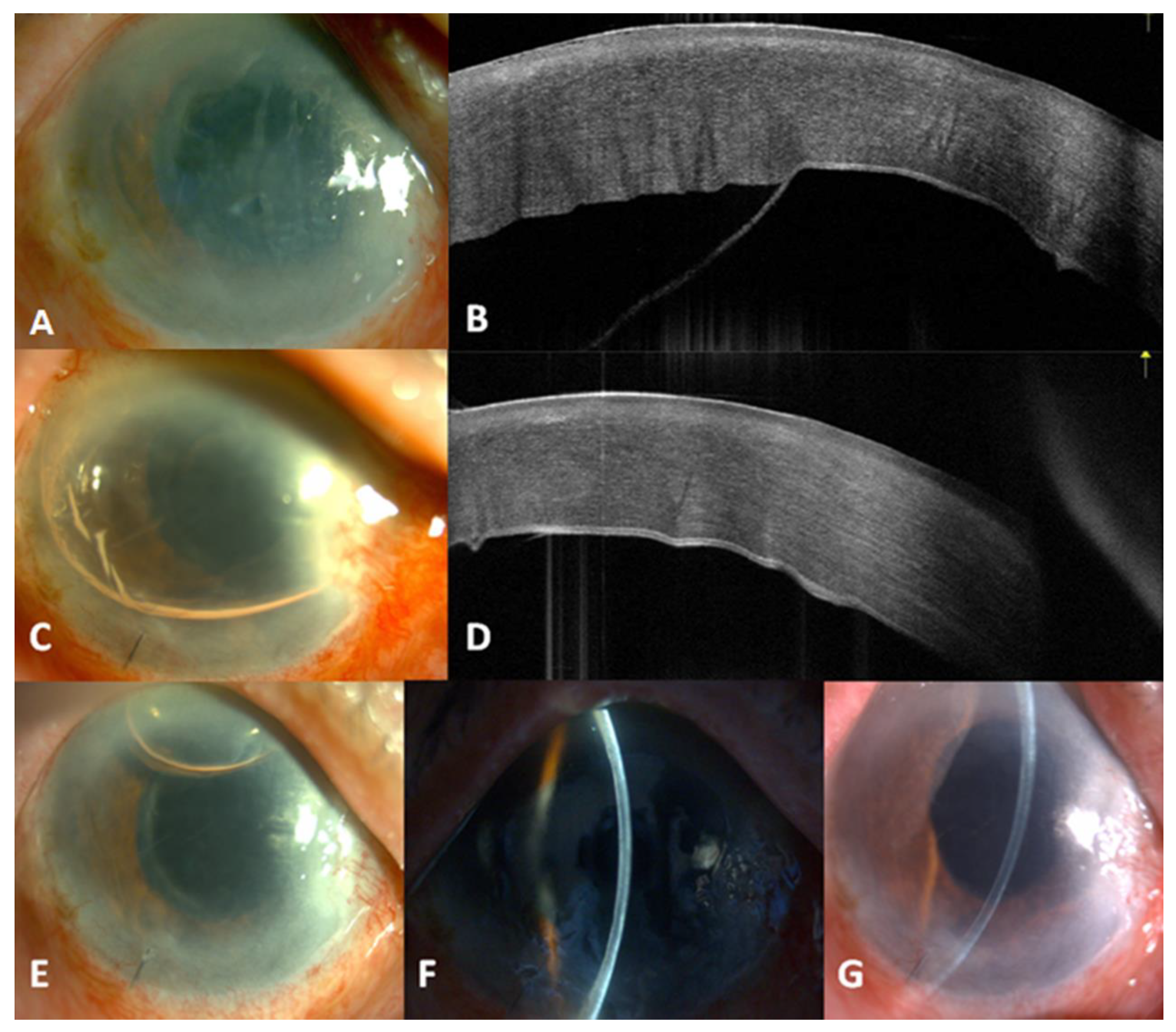 Reports 03 00013 g001 Reports 03 00013 g001