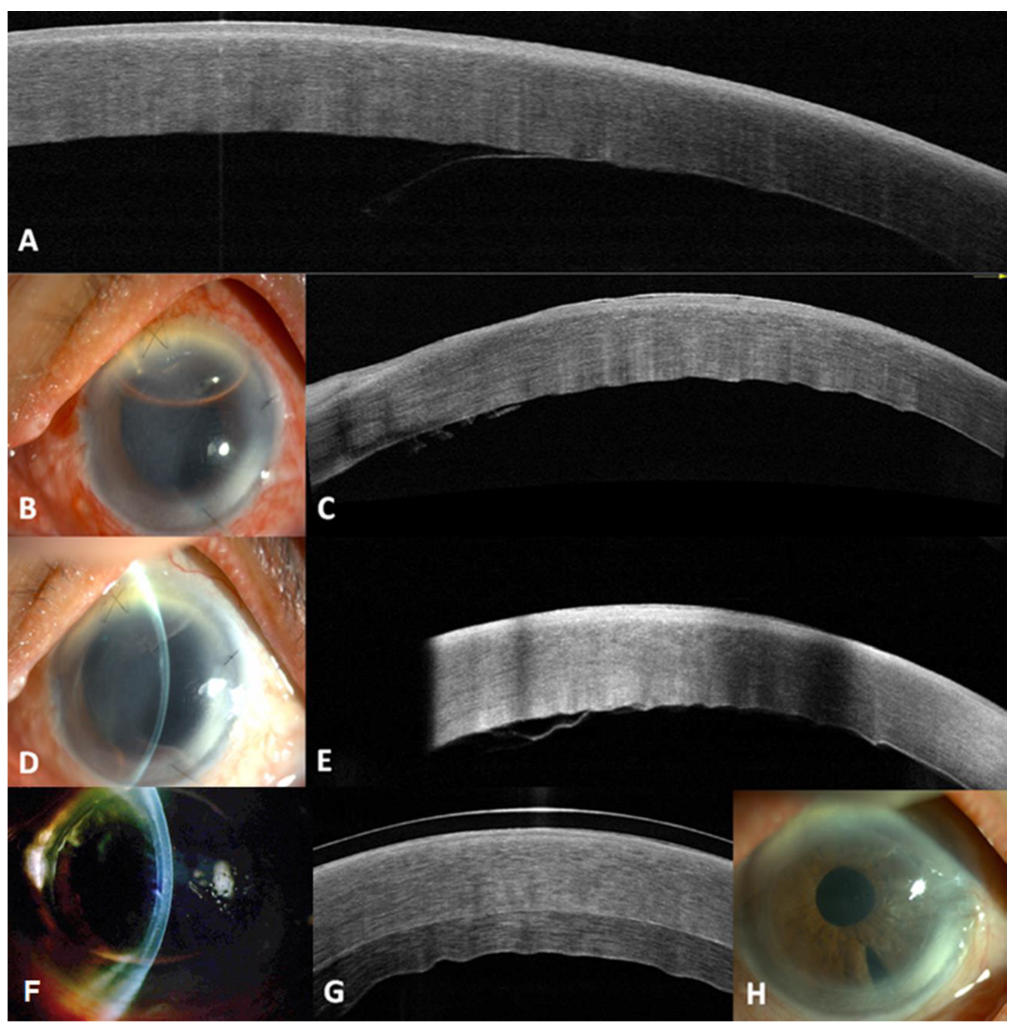 Reports 03 00013 g003 Reports 03 00013 g003