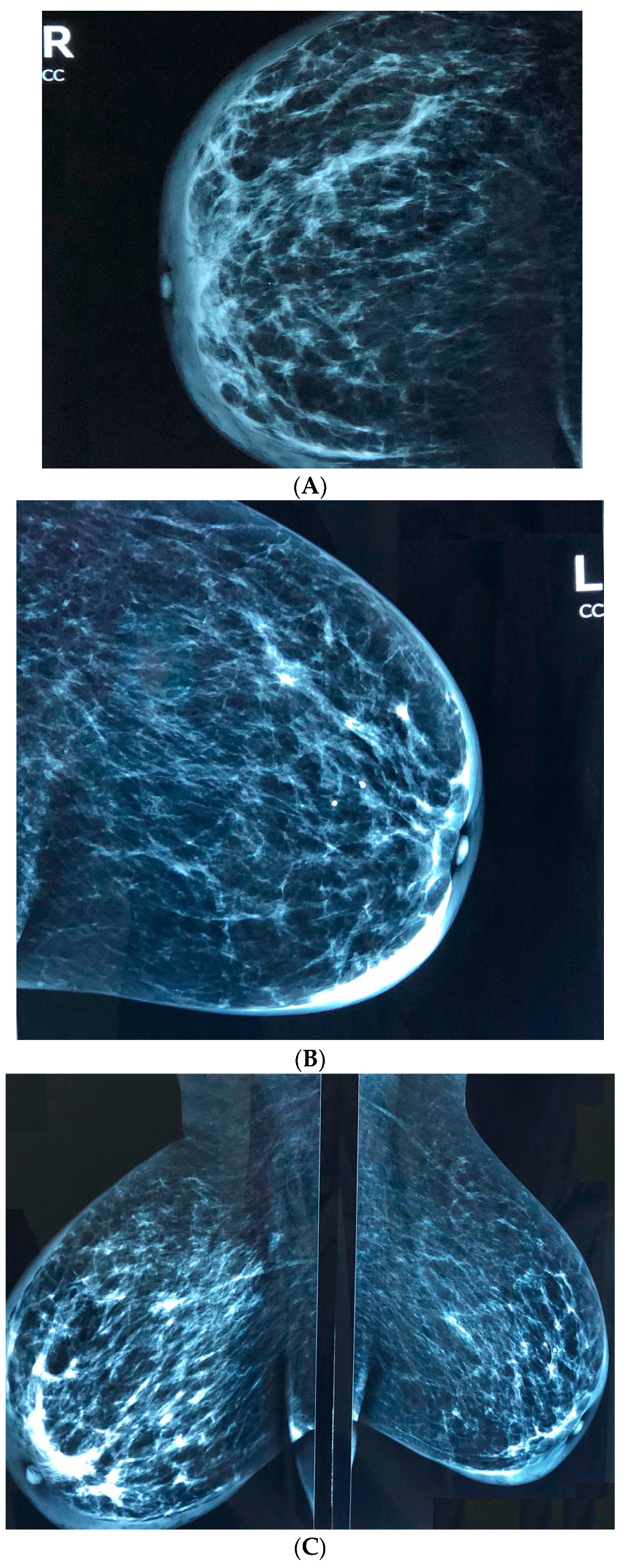 Reports 03 00018 g003 Reports 03 00018 g003