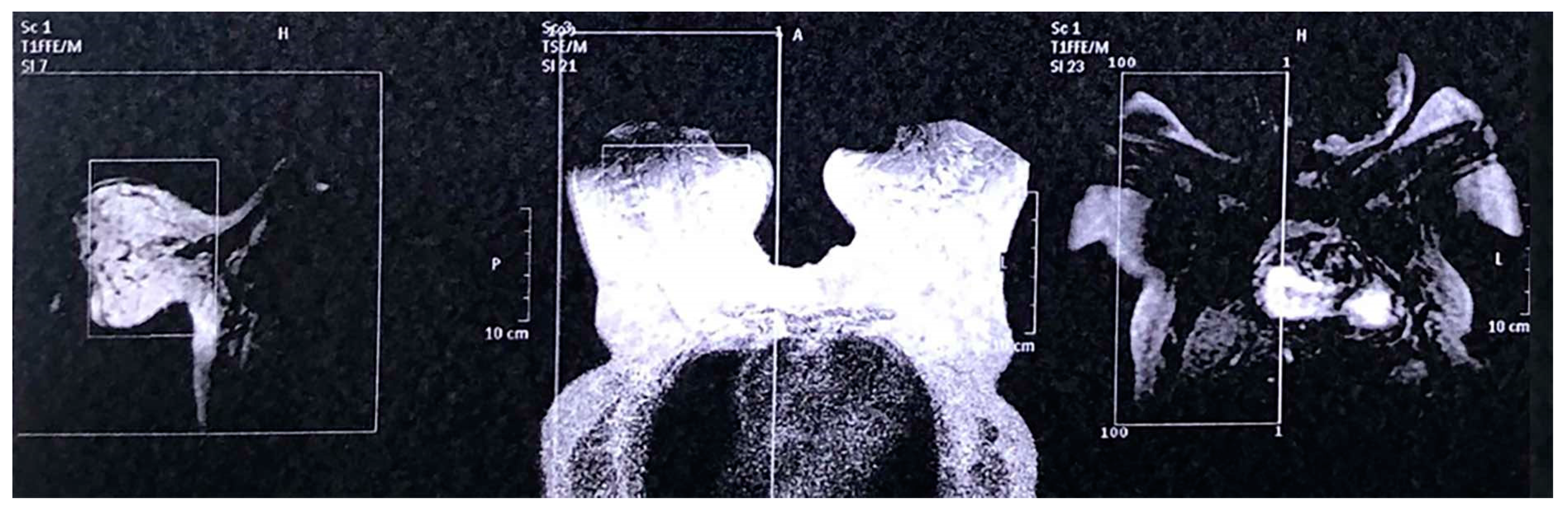 Reports 03 00018 g004 Reports 03 00018 g004