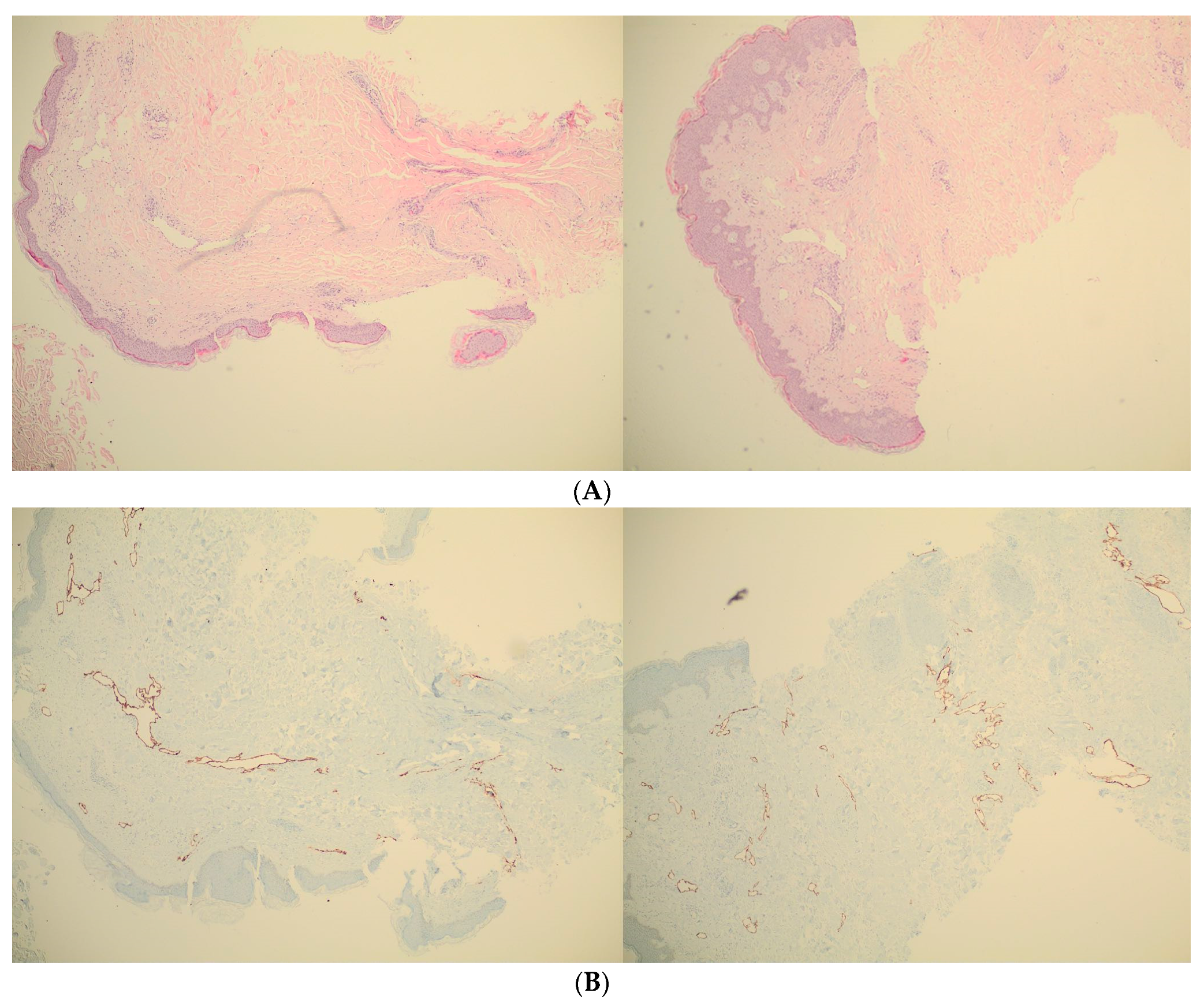 Reports 03 00018 g005 Reports 03 00018 g005