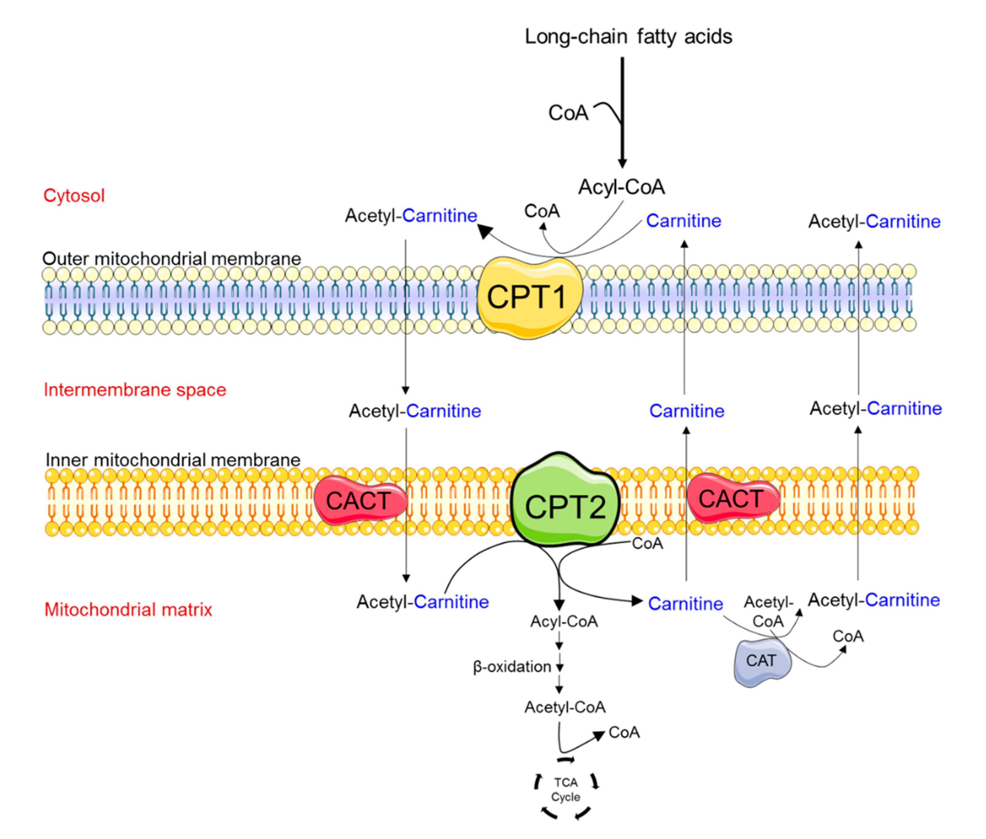 Reports 03 00031 g001 Reports 03 00031 g001