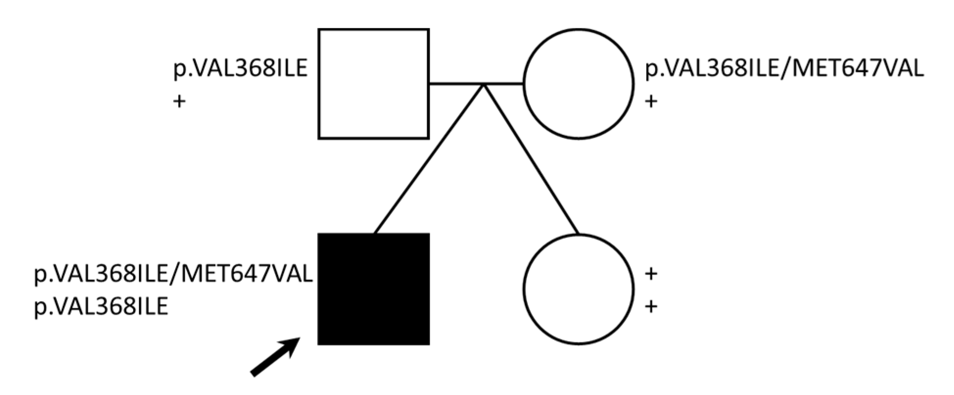 Reports 03 00031 g002 Reports 03 00031 g002