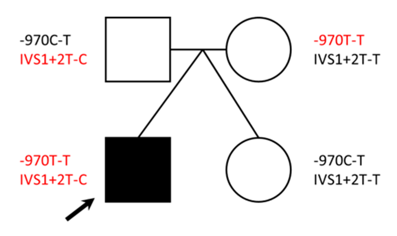 Reports 03 00031 g003 Reports 03 00031 g003