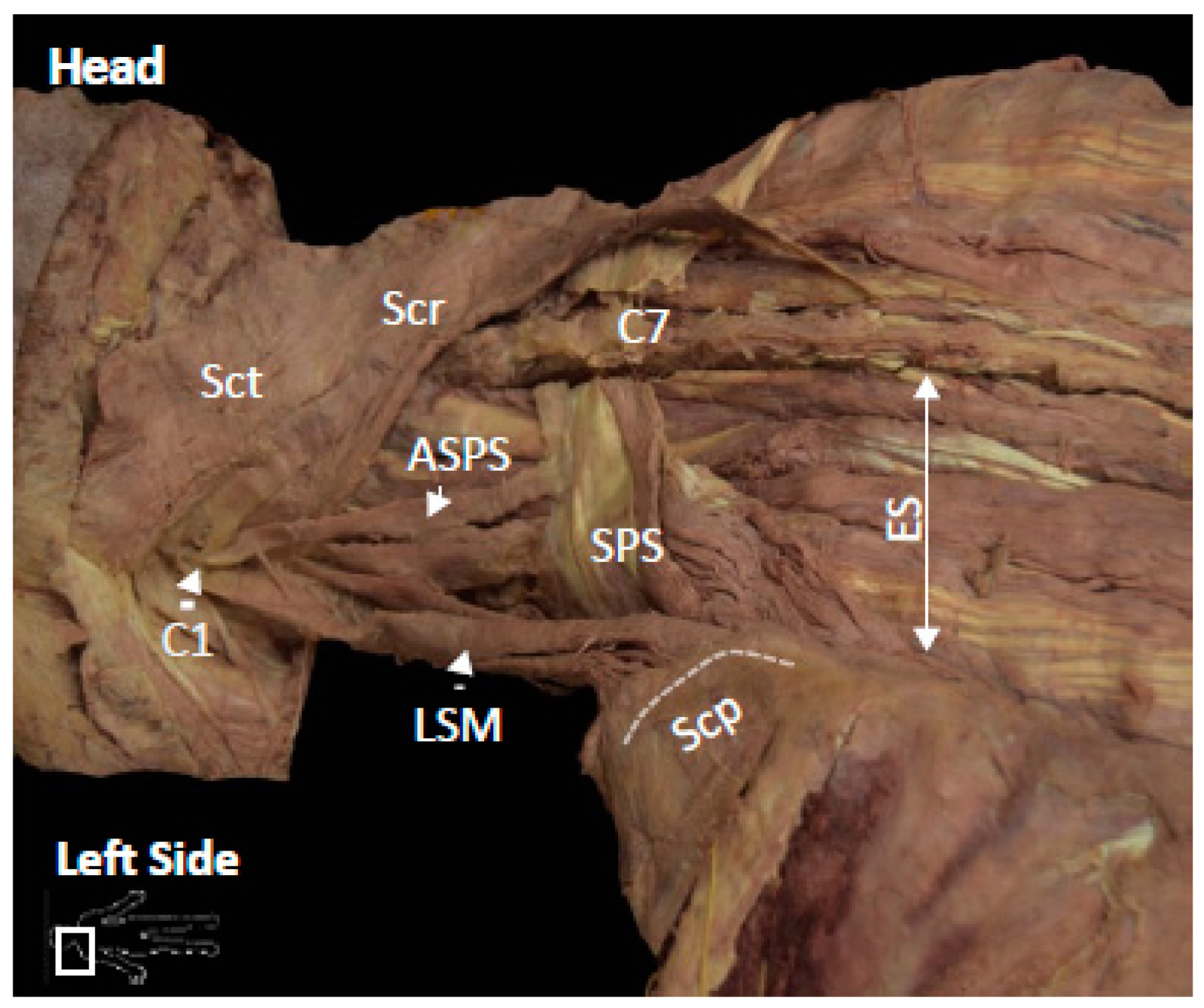 Reports 04 00002 g001