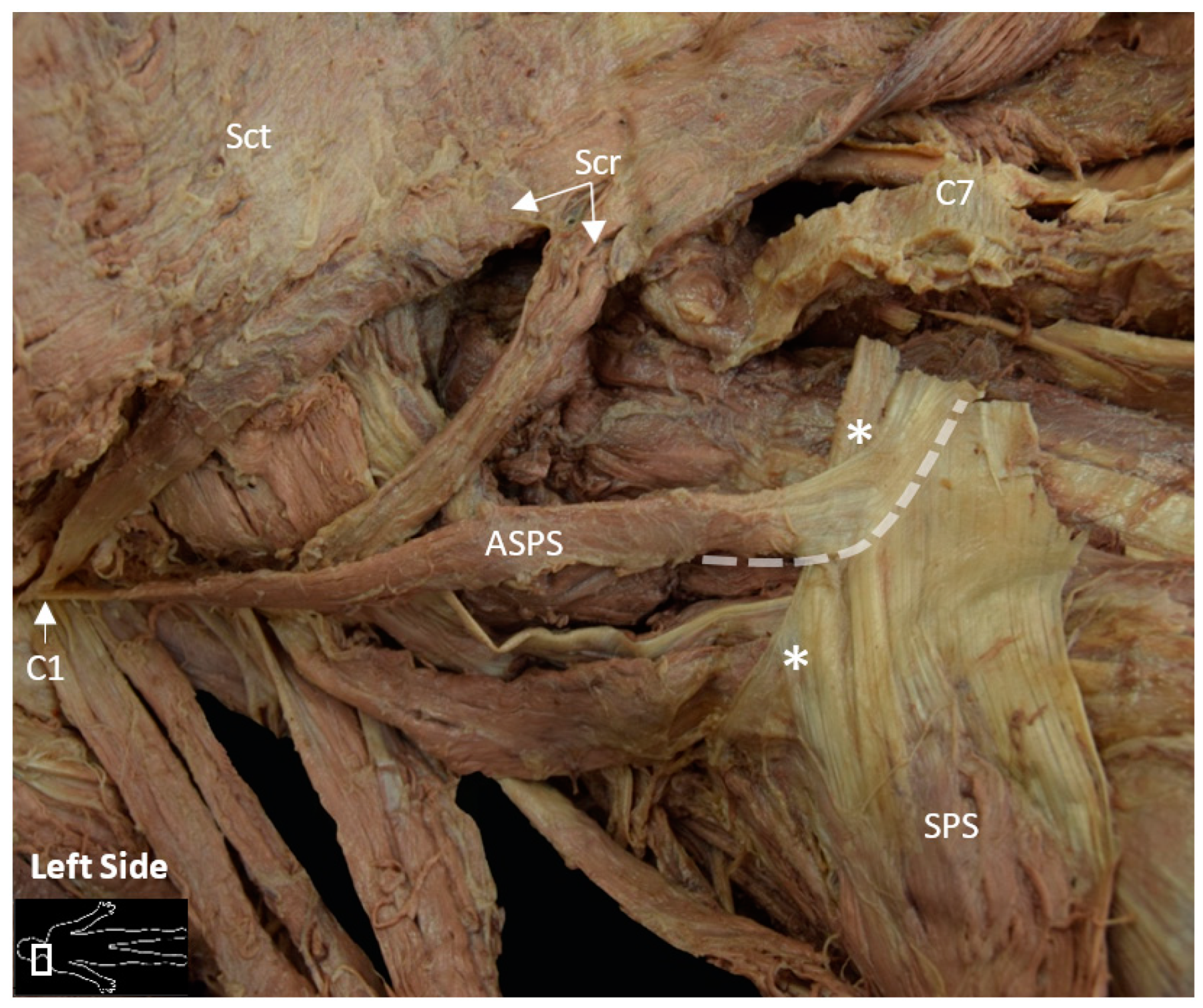 Reports 04 00002 g002