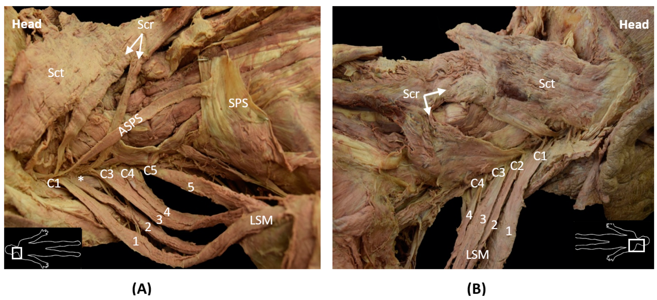 Reports 04 00002 g003