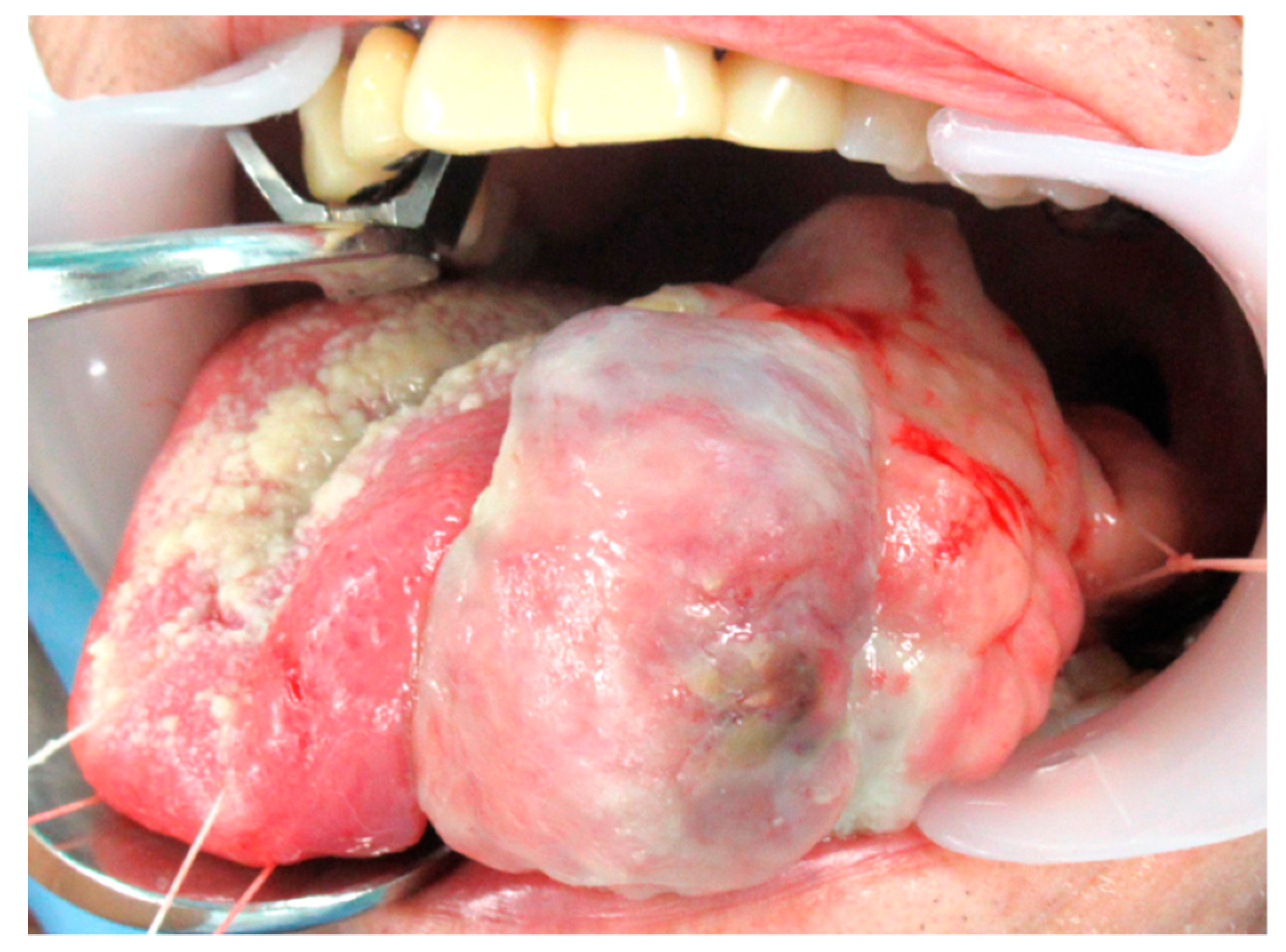 Reports 04 00005 g001