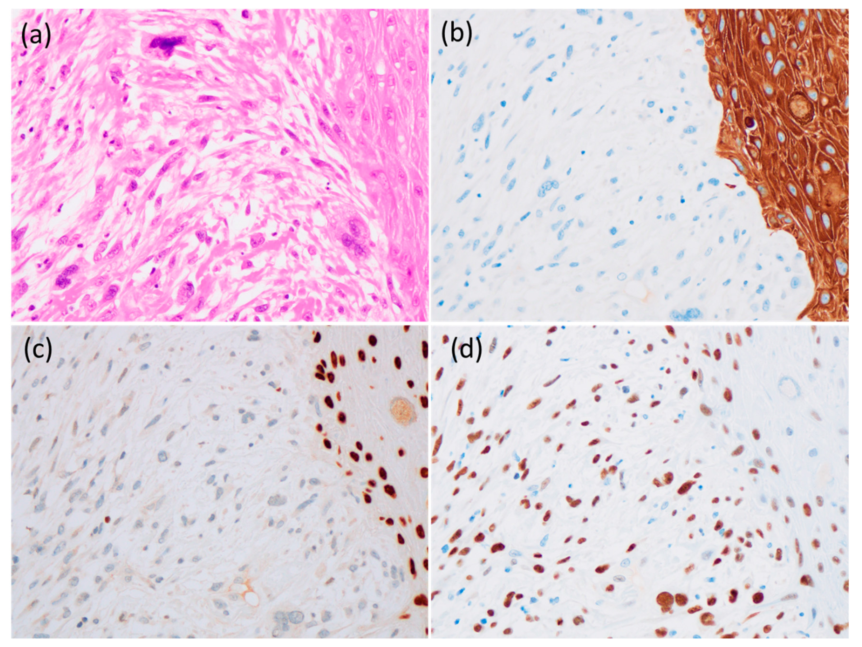 Reports 04 00005 g005