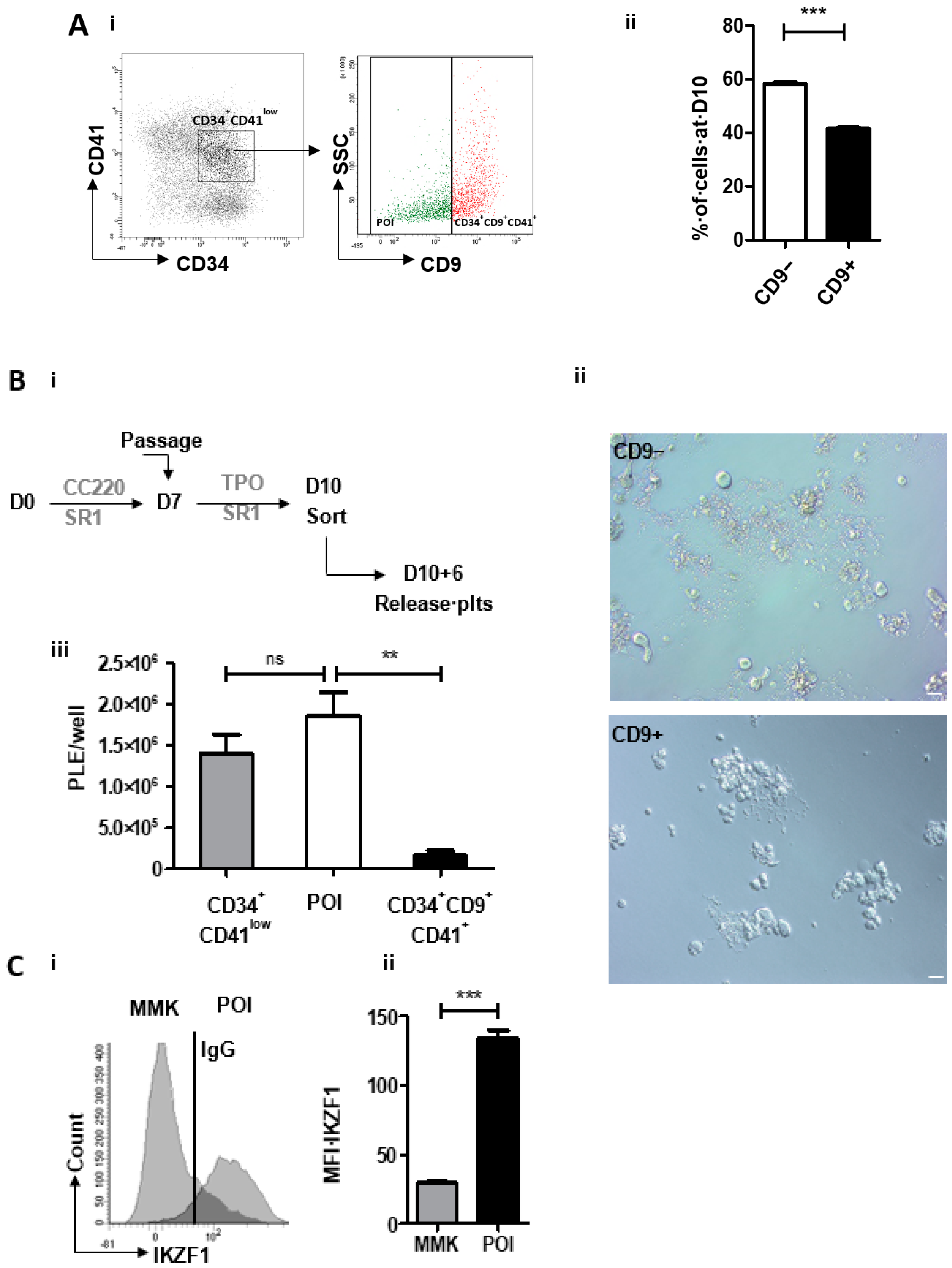 Reports 04 00007 g001