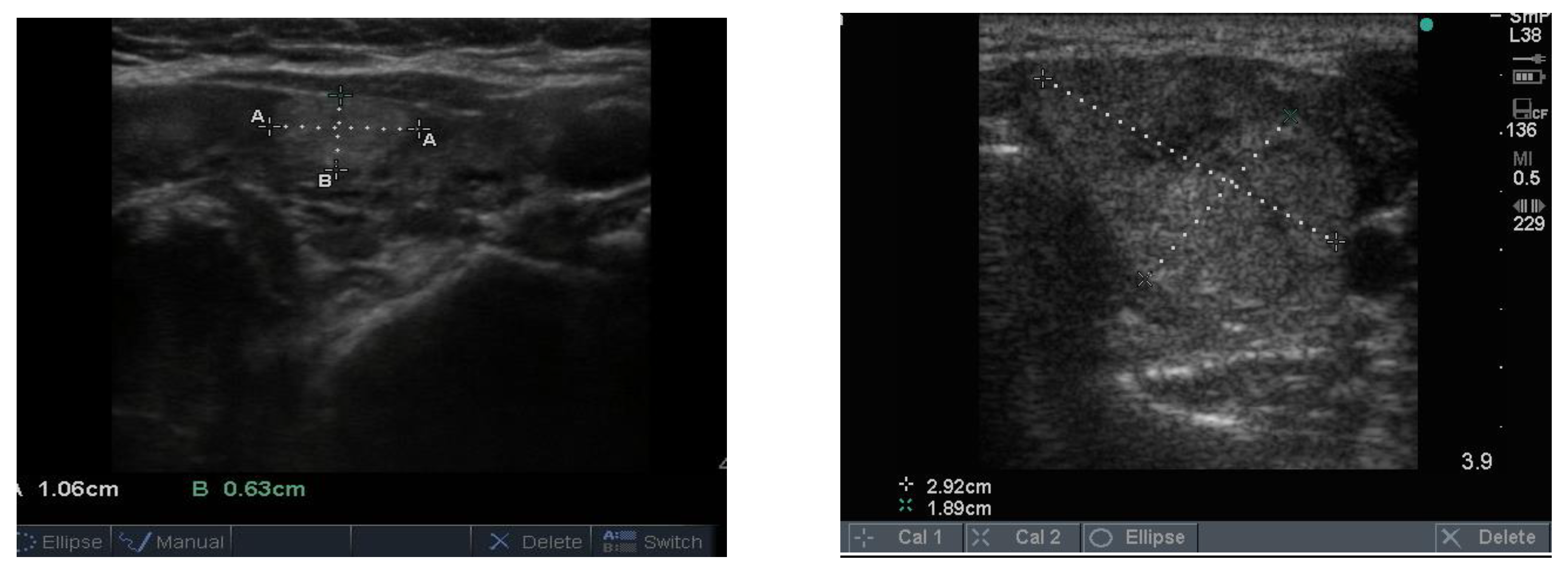 Reports 04 00008 g004 Reports 04 00008 g004