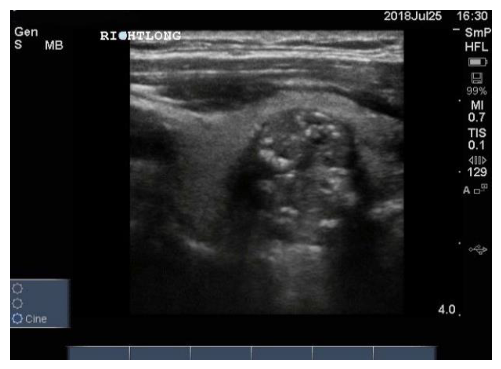 Reports 04 00008 g012 Reports 04 00008 g012