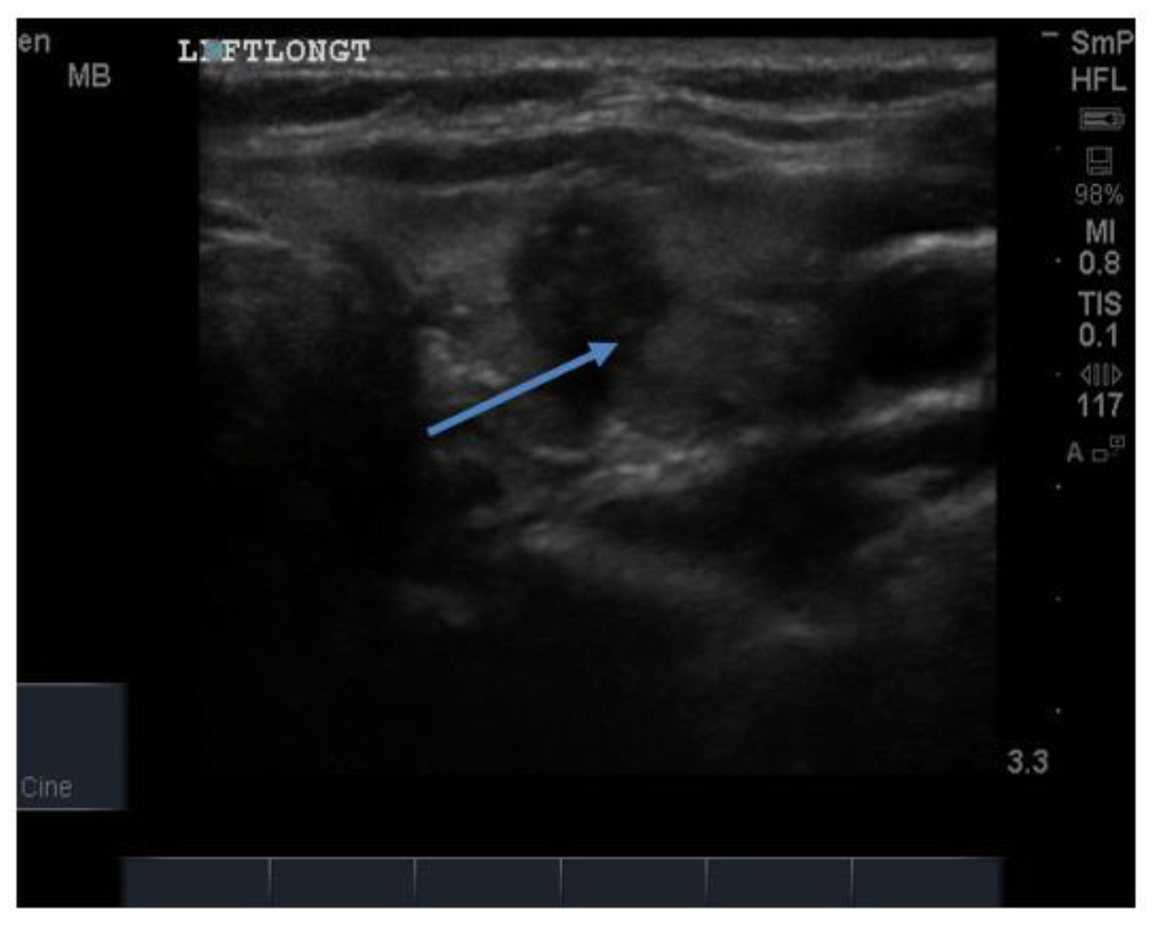 Reports 04 00008 g013 Reports 04 00008 g013