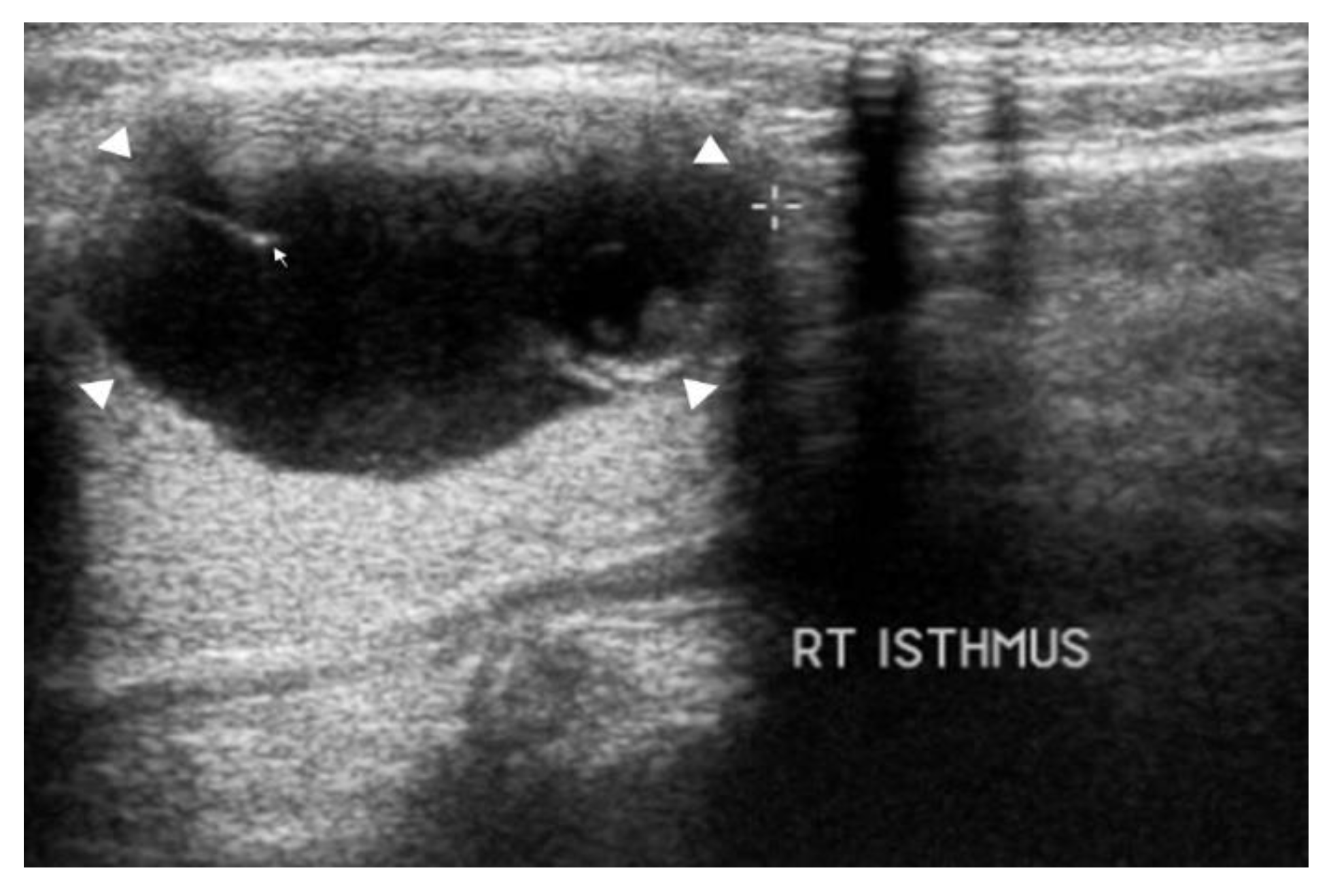 Reports 04 00008 g014 Reports 04 00008 g014