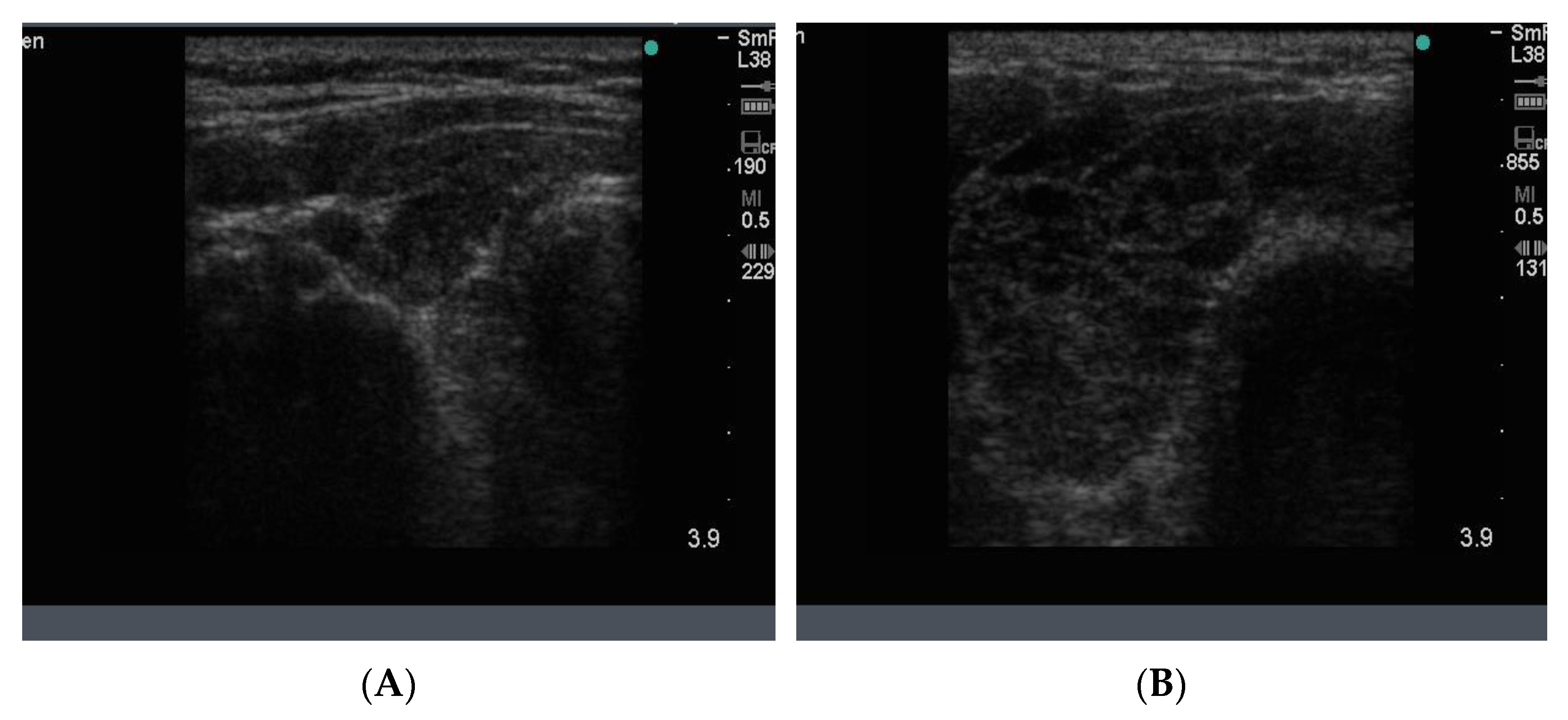 Reports 04 00008 g016 Reports 04 00008 g016