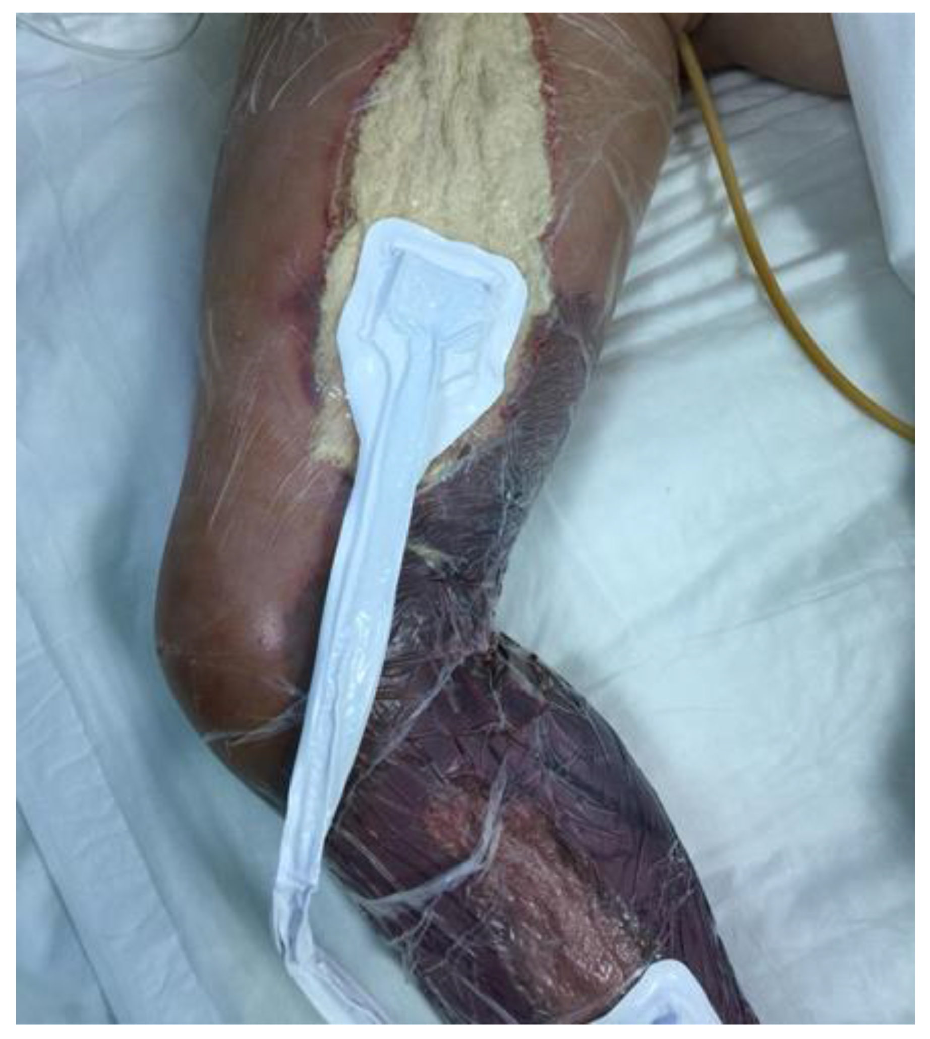 Reports 04 00009 g001