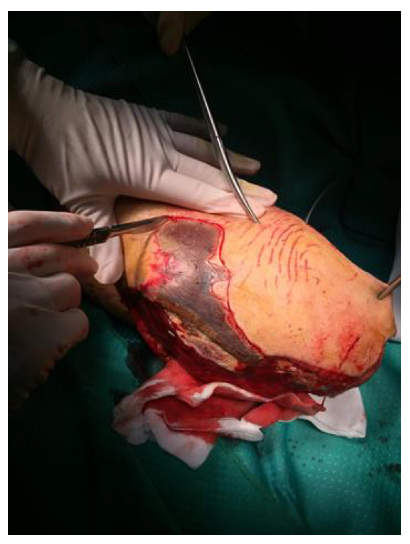 Reports 04 00009 g002