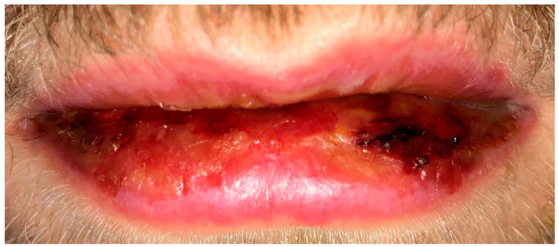 Reports 04 00011 g001