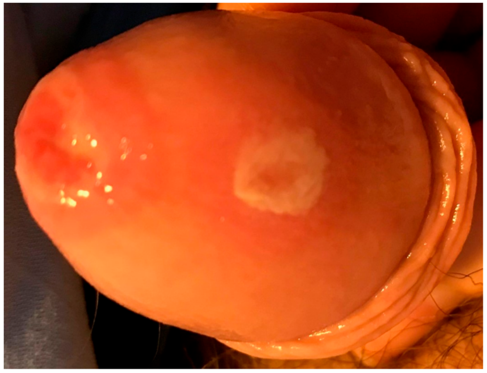 Reports 04 00011 g003