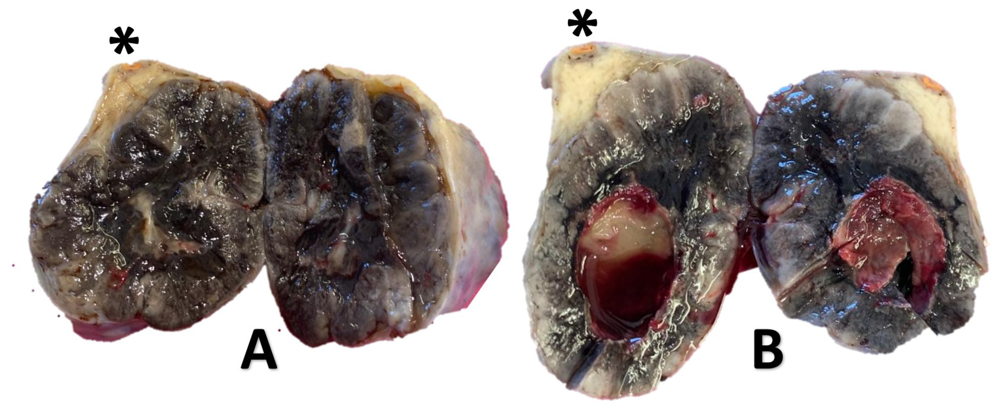 Reports 04 00013 g001