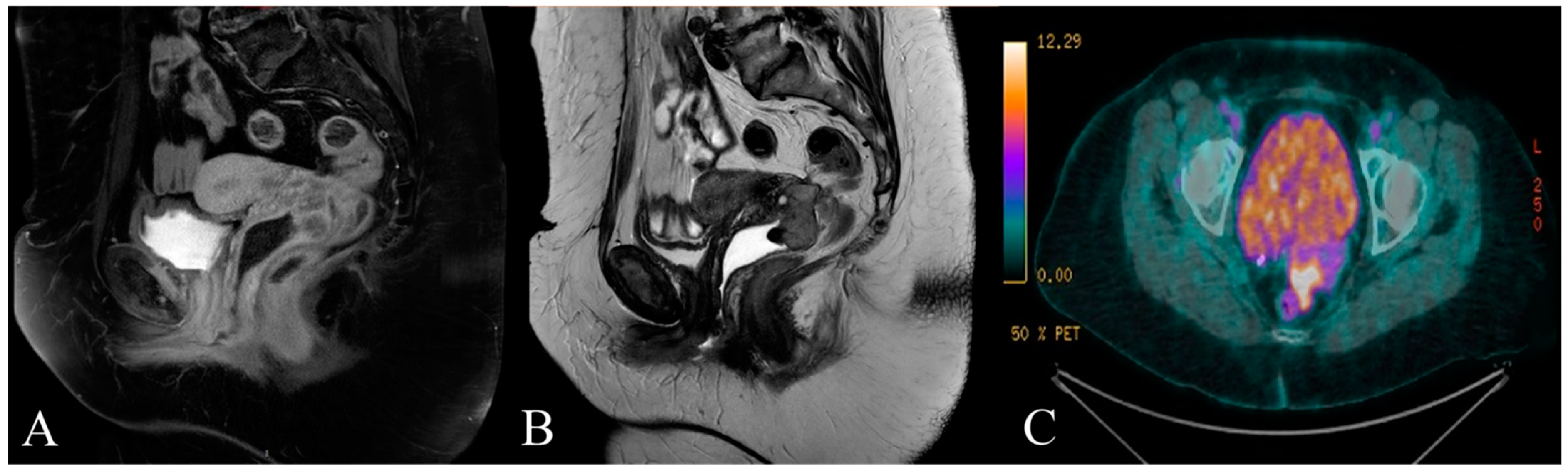 Reports 04 00029 g001