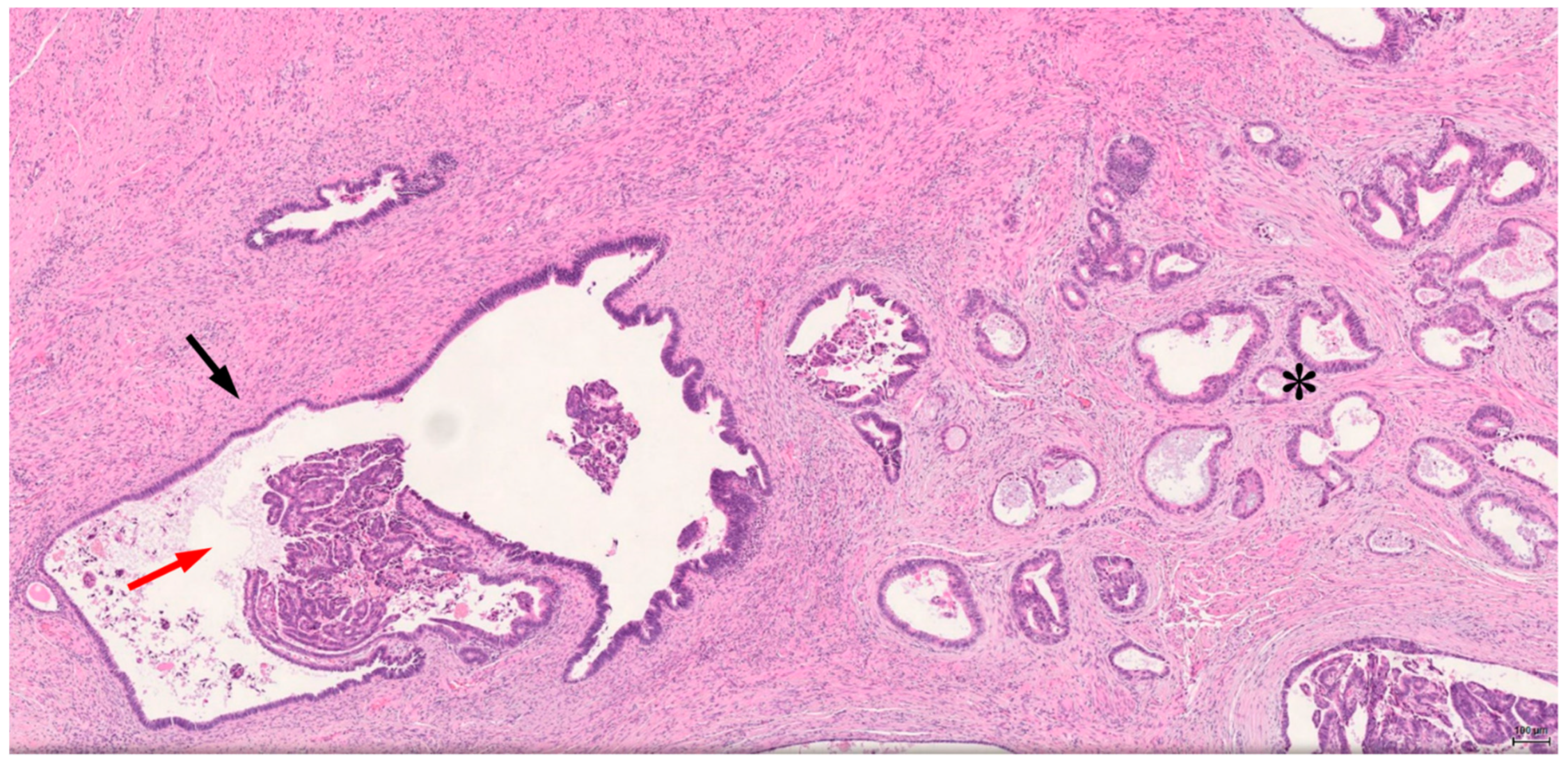 Reports 04 00029 g002