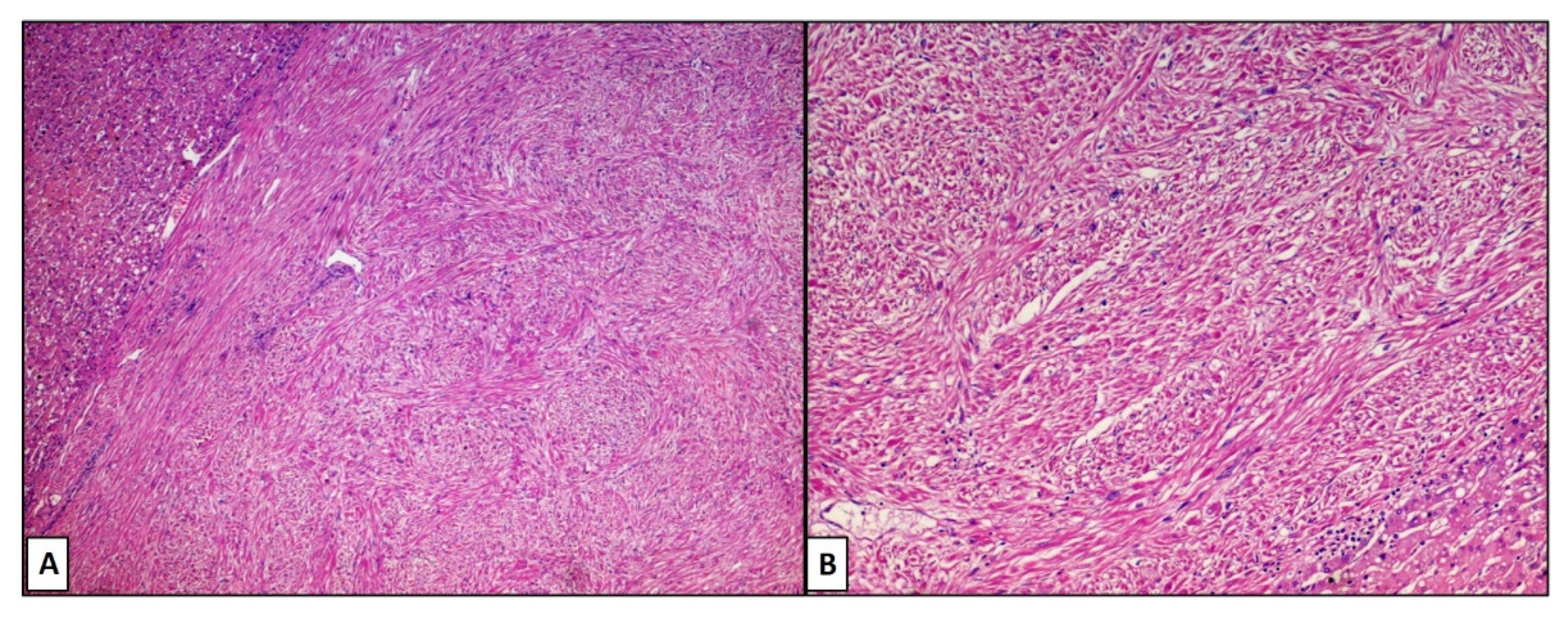 Reports 05 00002 g002