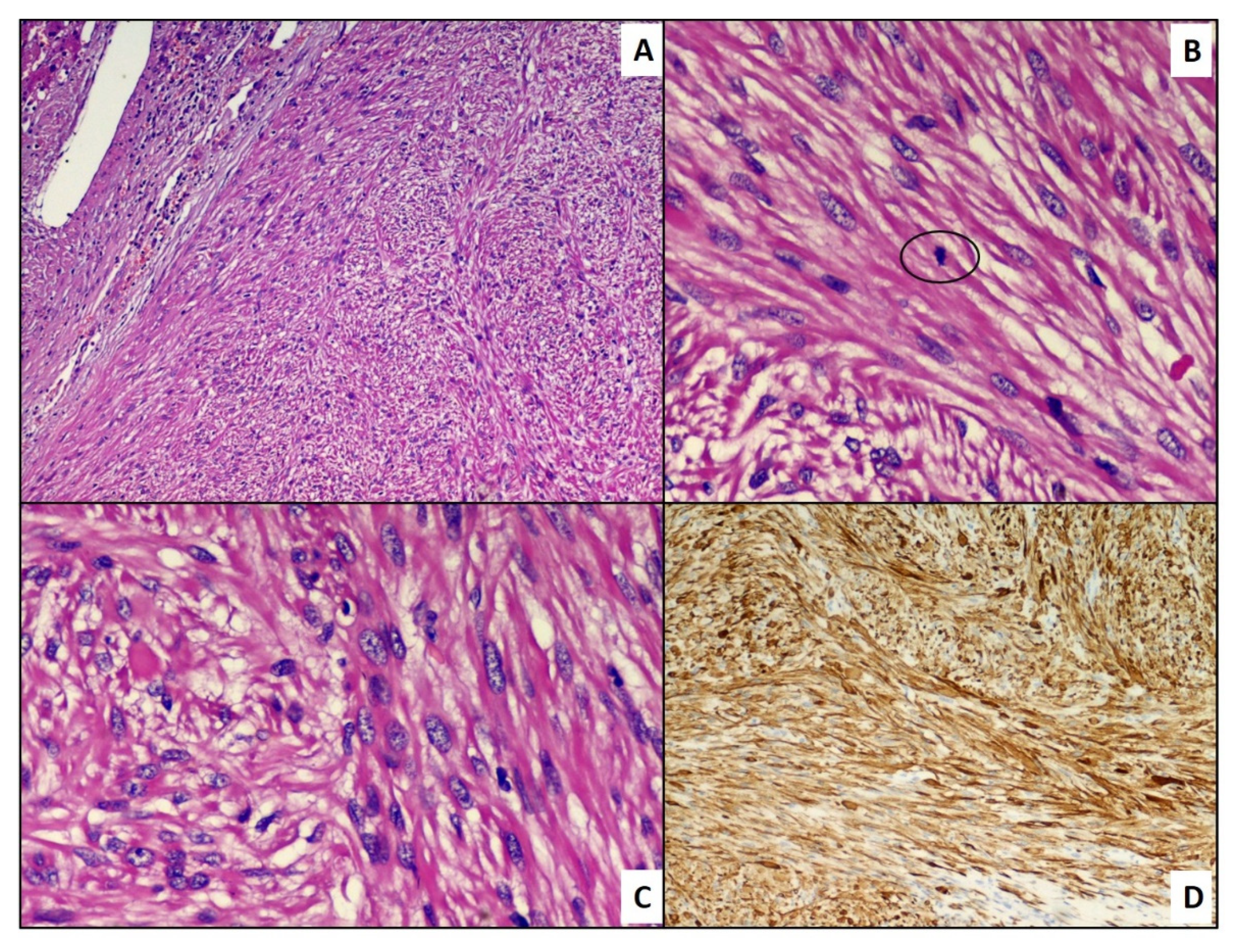 Reports 05 00002 g003