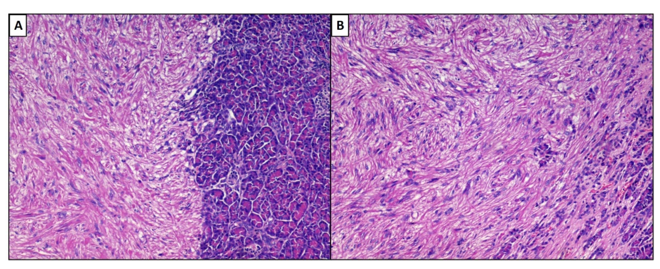 Reports 05 00002 g004