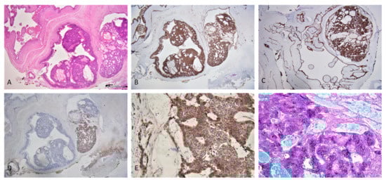 Reports 05 00010 g006 550