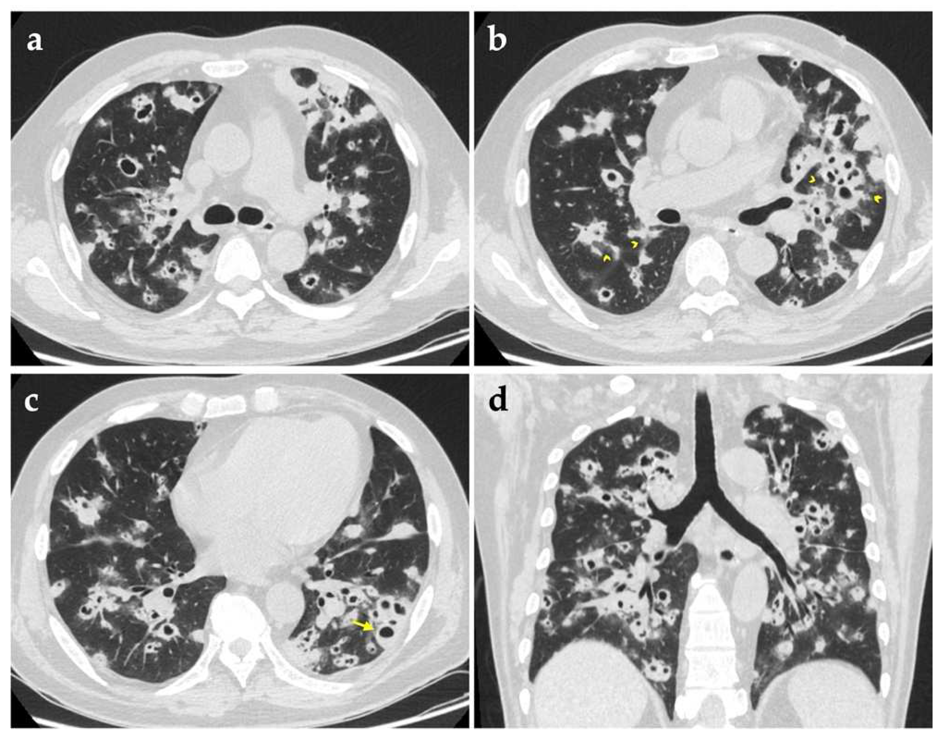 Reports 05 00019 g001