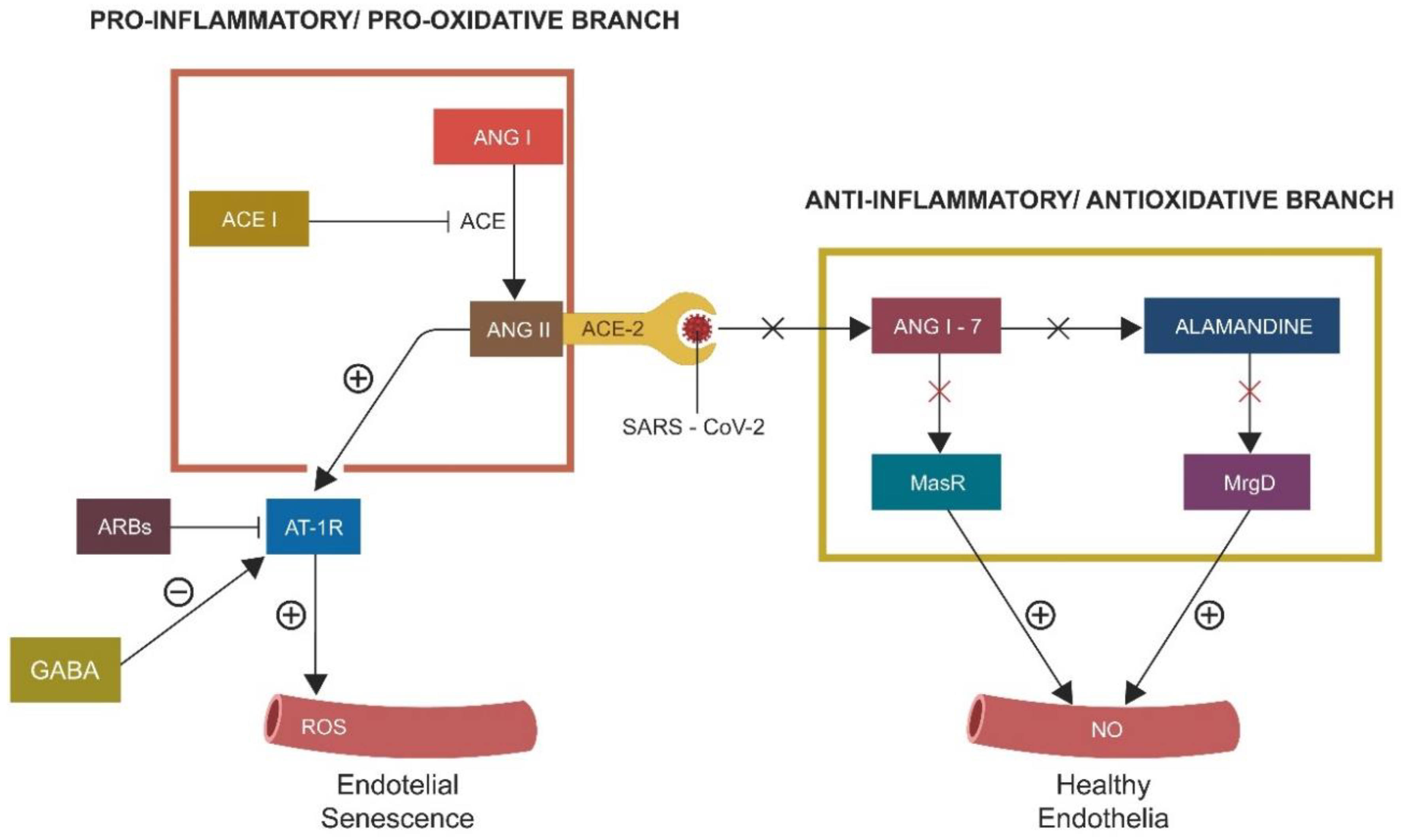 Reports 05 00022 g002