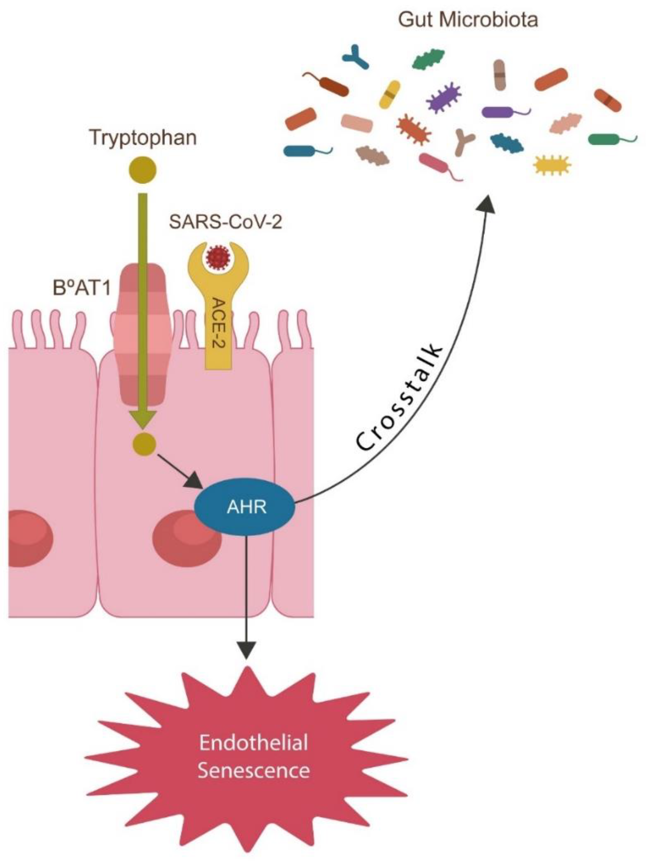 Reports 05 00022 g004