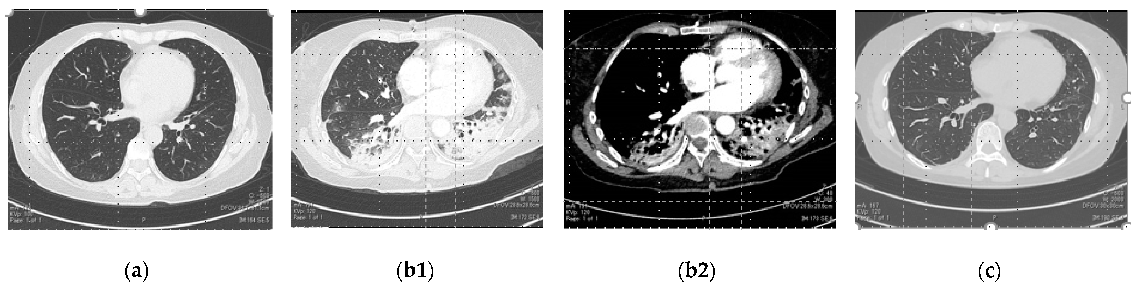 Reports 05 00024 g001