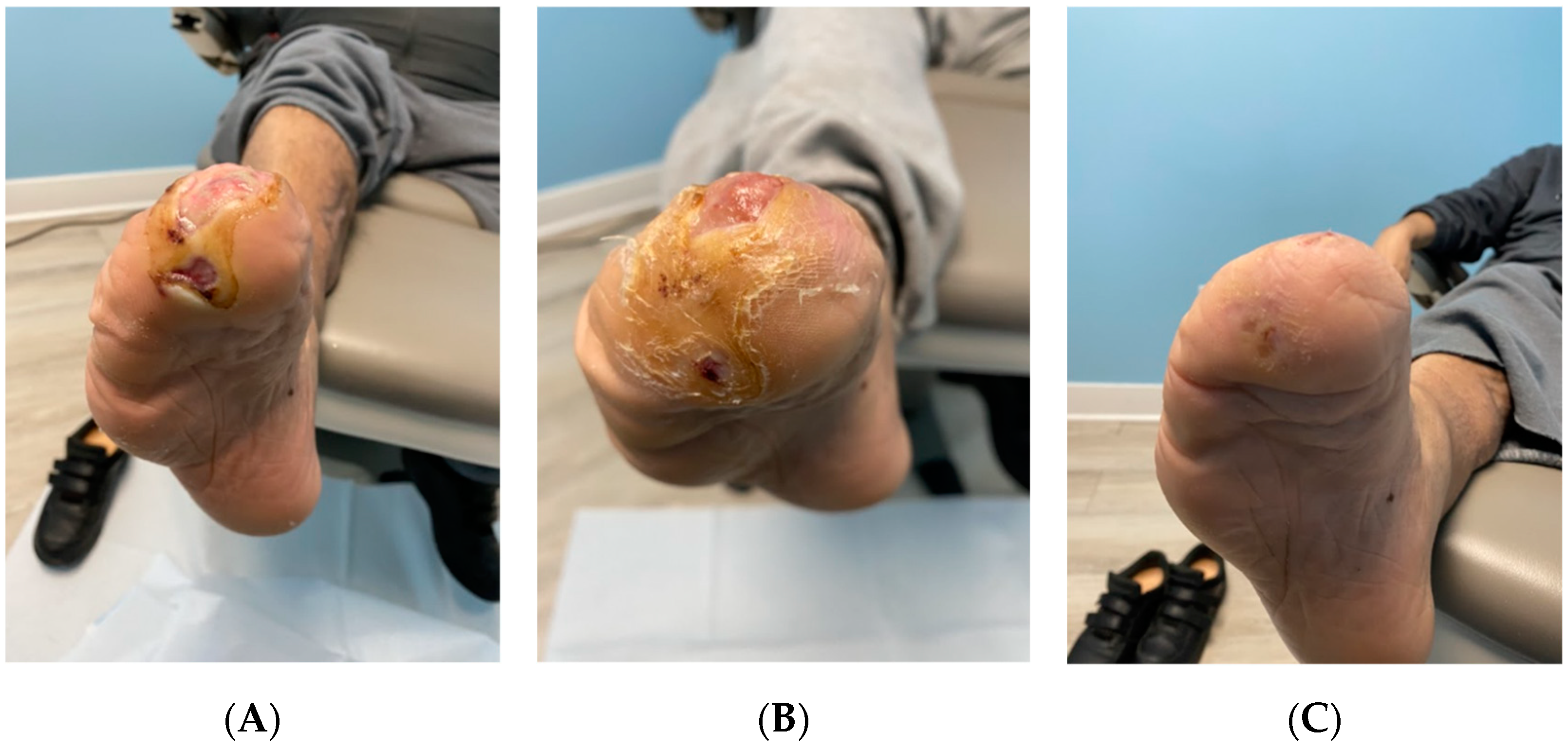 Reports 05 00028 g001