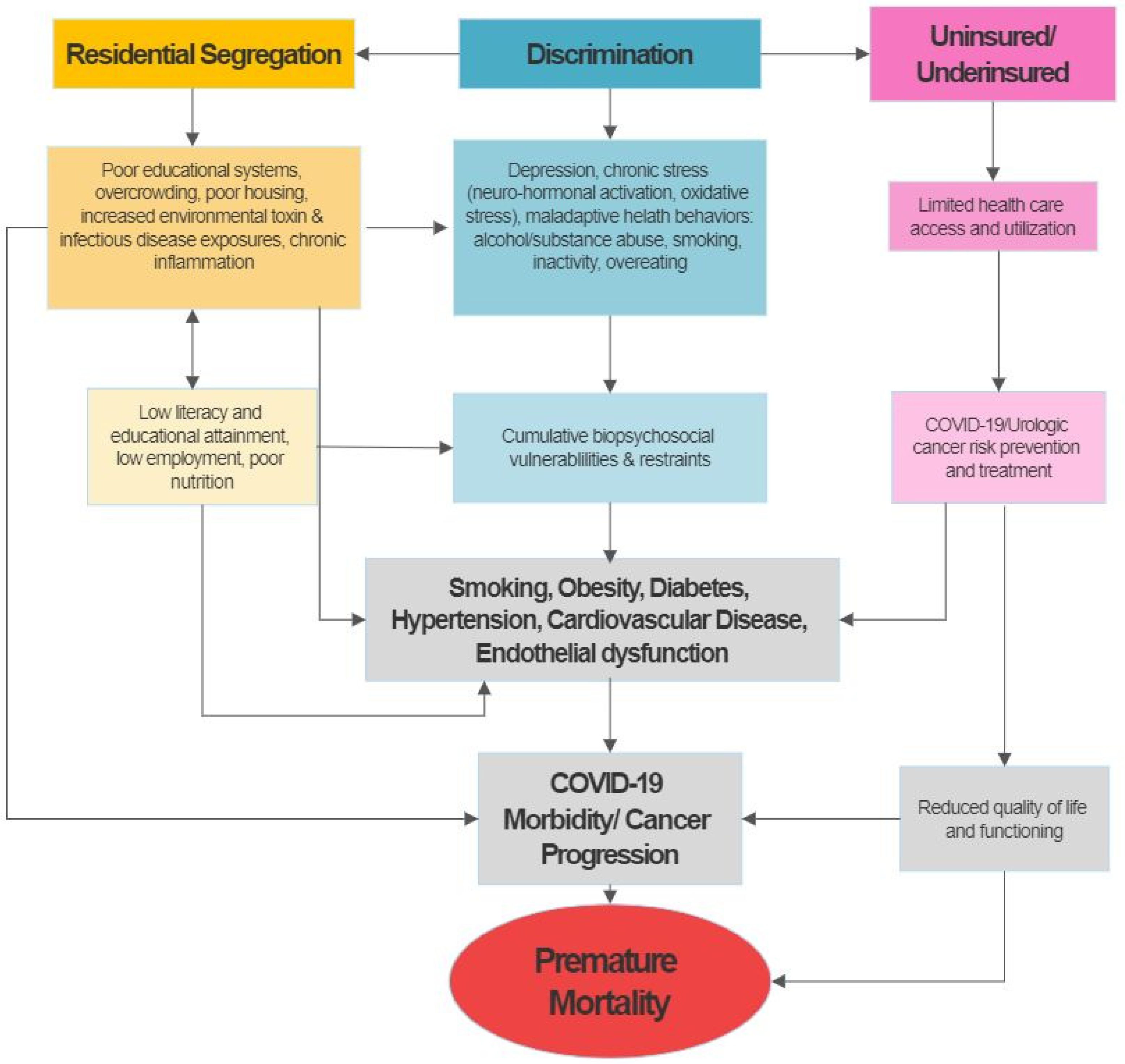 Reports 05 00029 g001