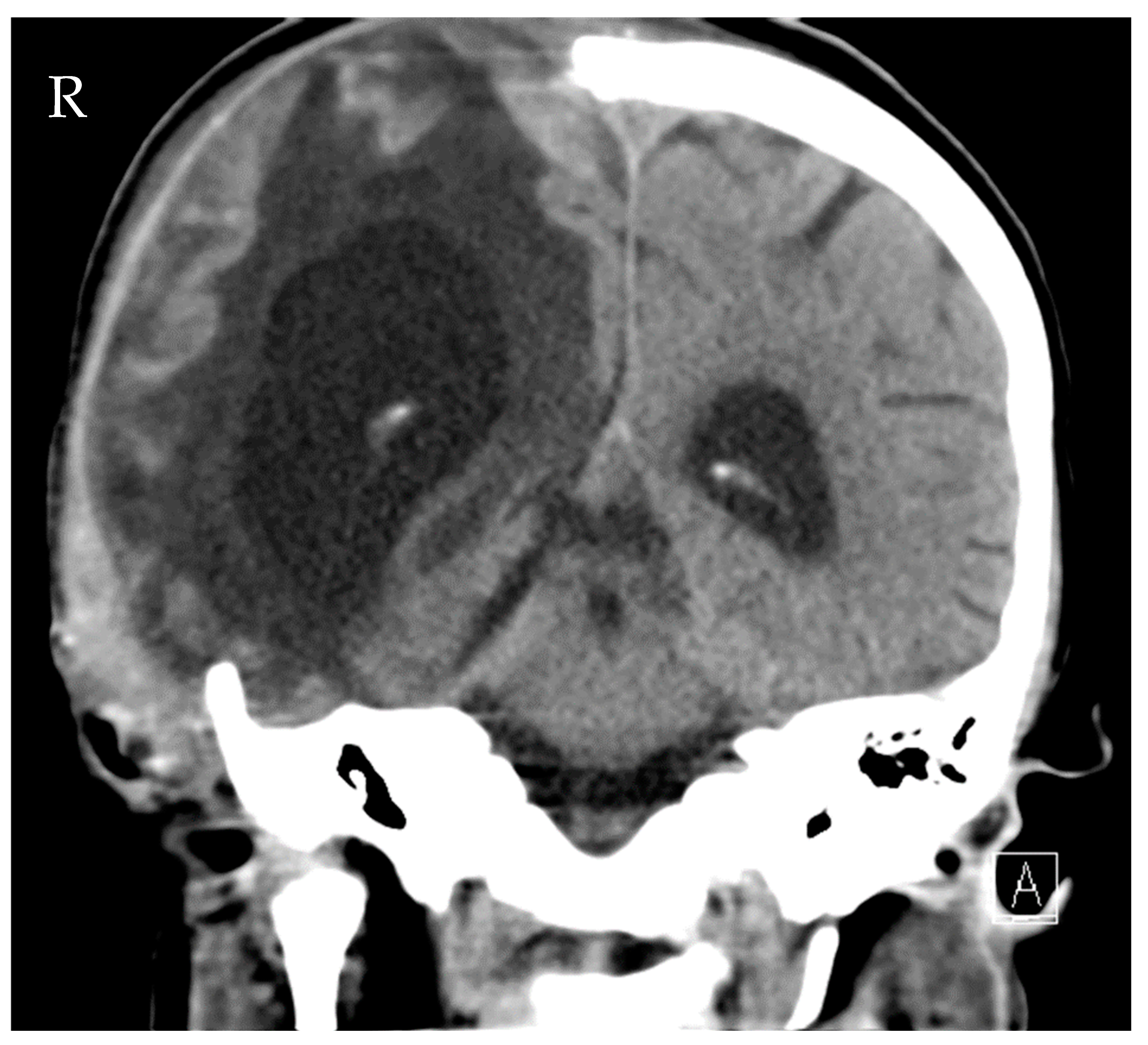 Reports 05 00033 g004