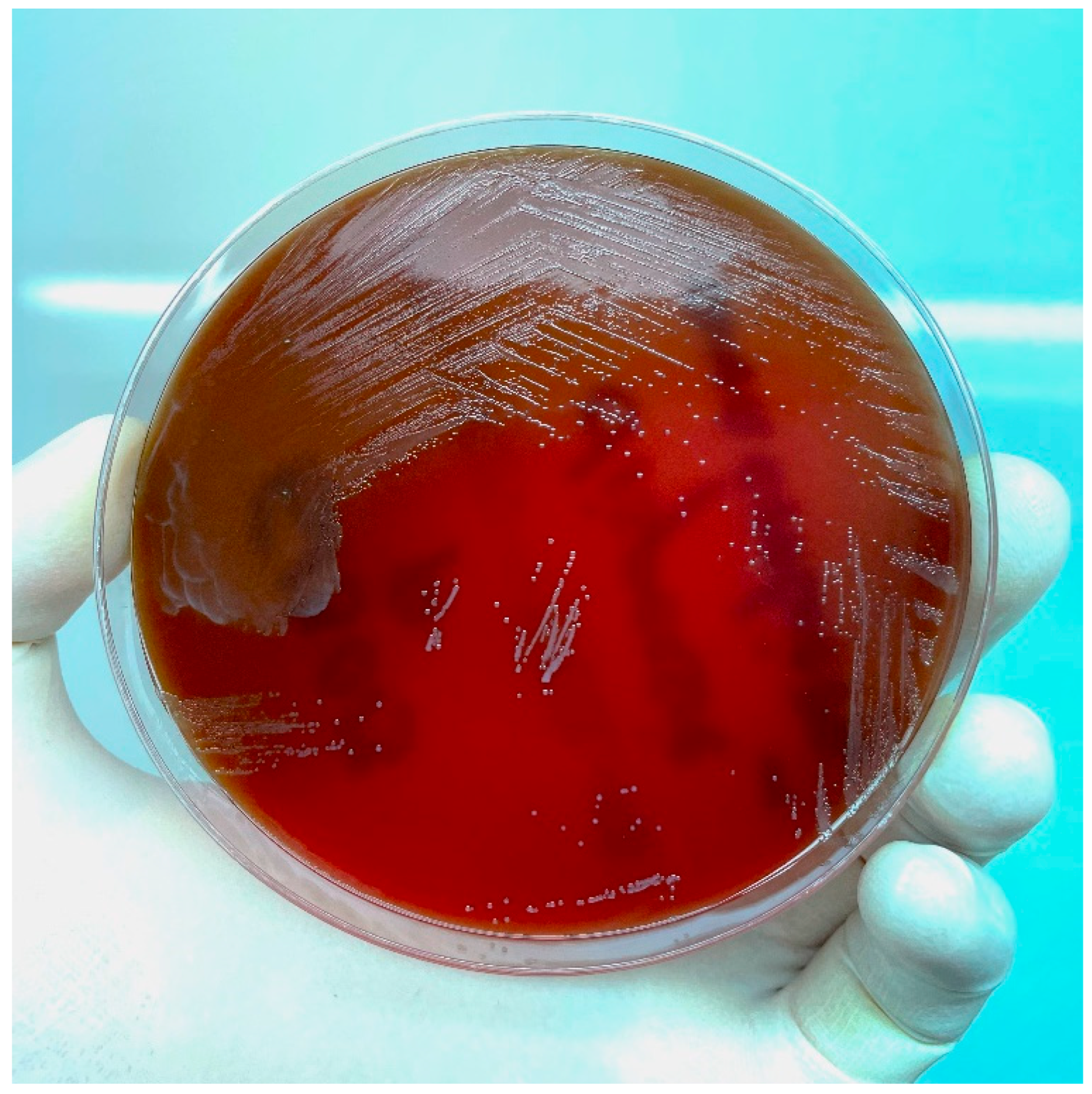 Reports 05 00046 g001