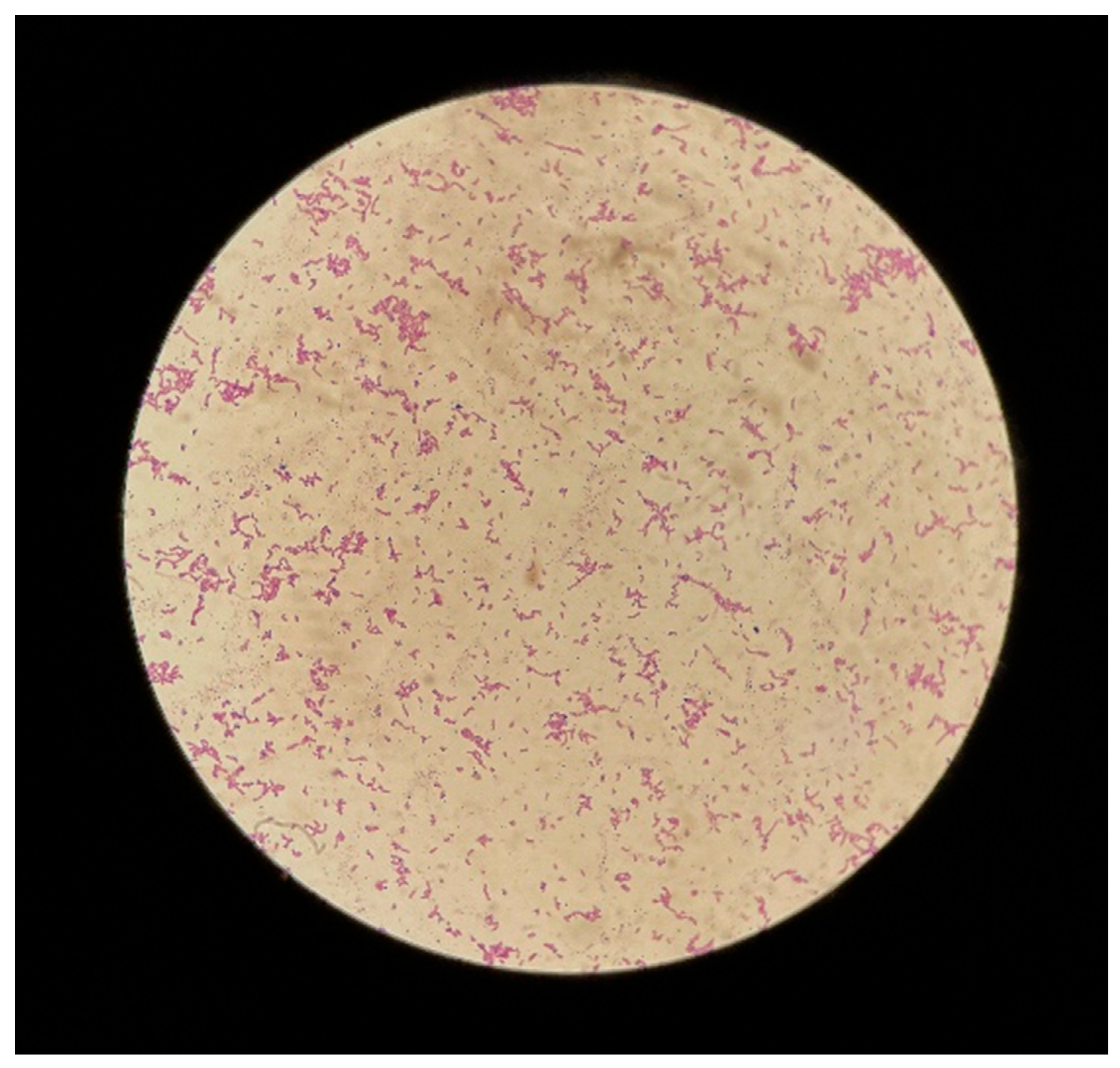 Reports 05 00046 g002