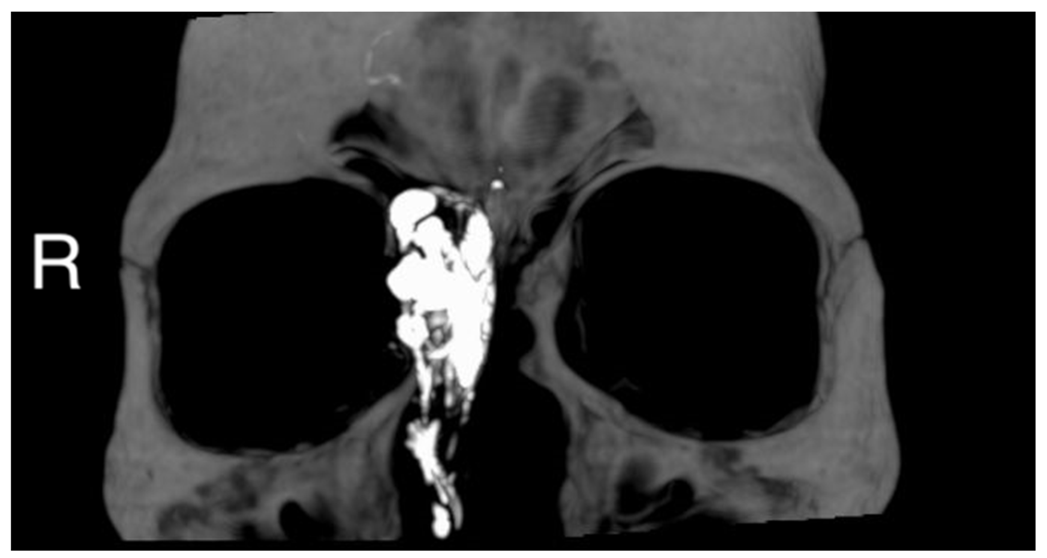 Reports 06 00007 g002