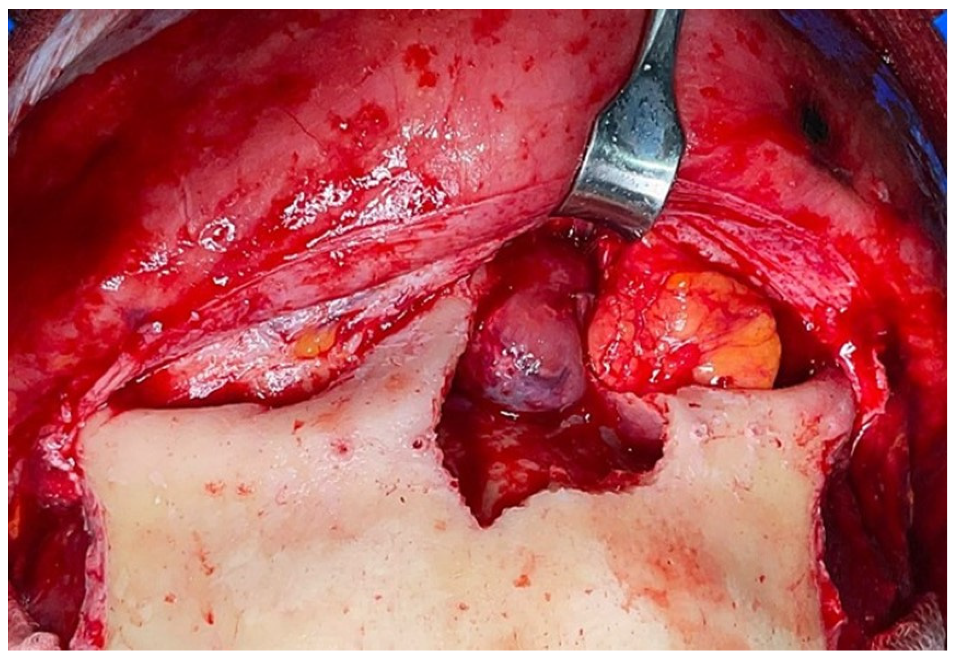 Reports 06 00007 g003