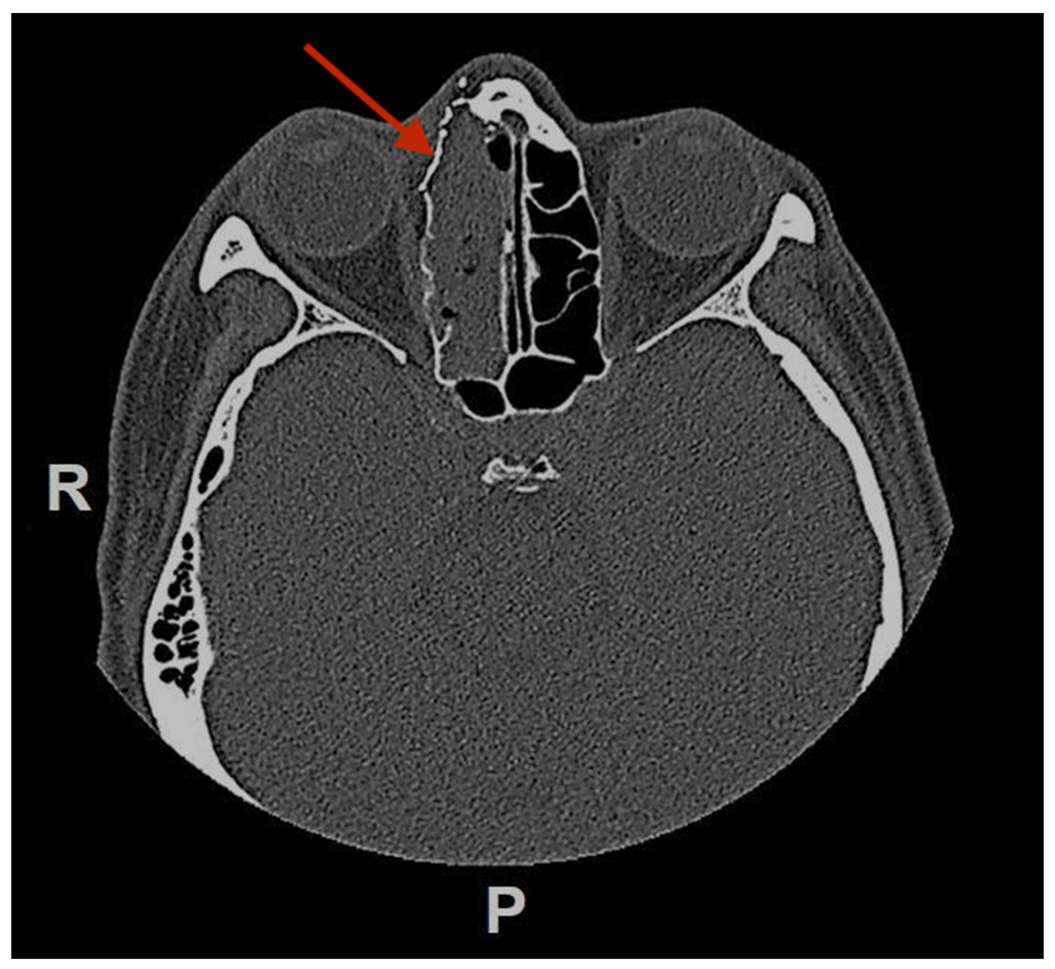 Reports 06 00007 g006