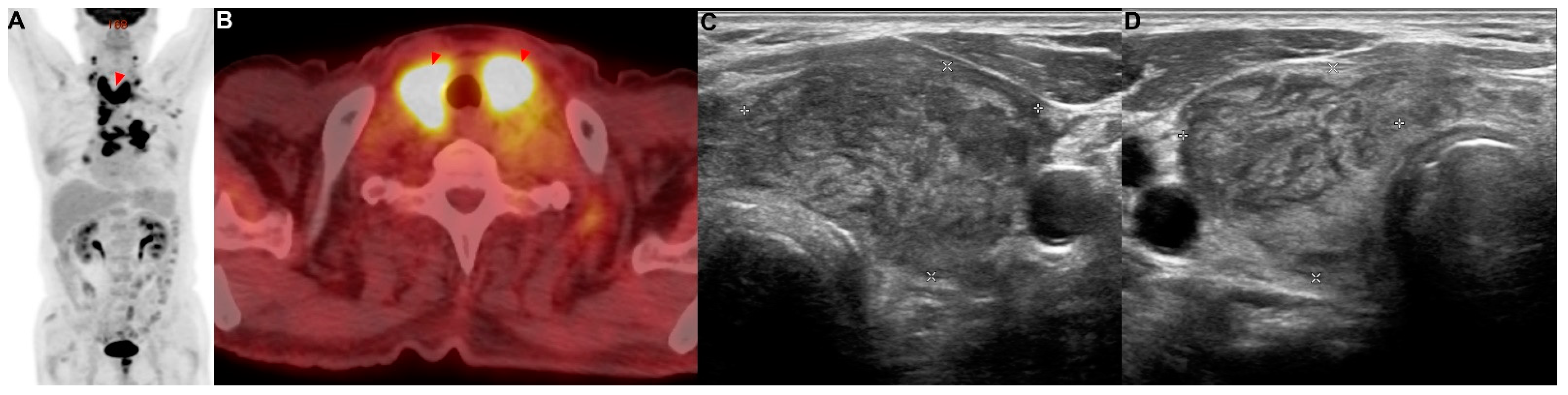 Reports 06 00008 g002