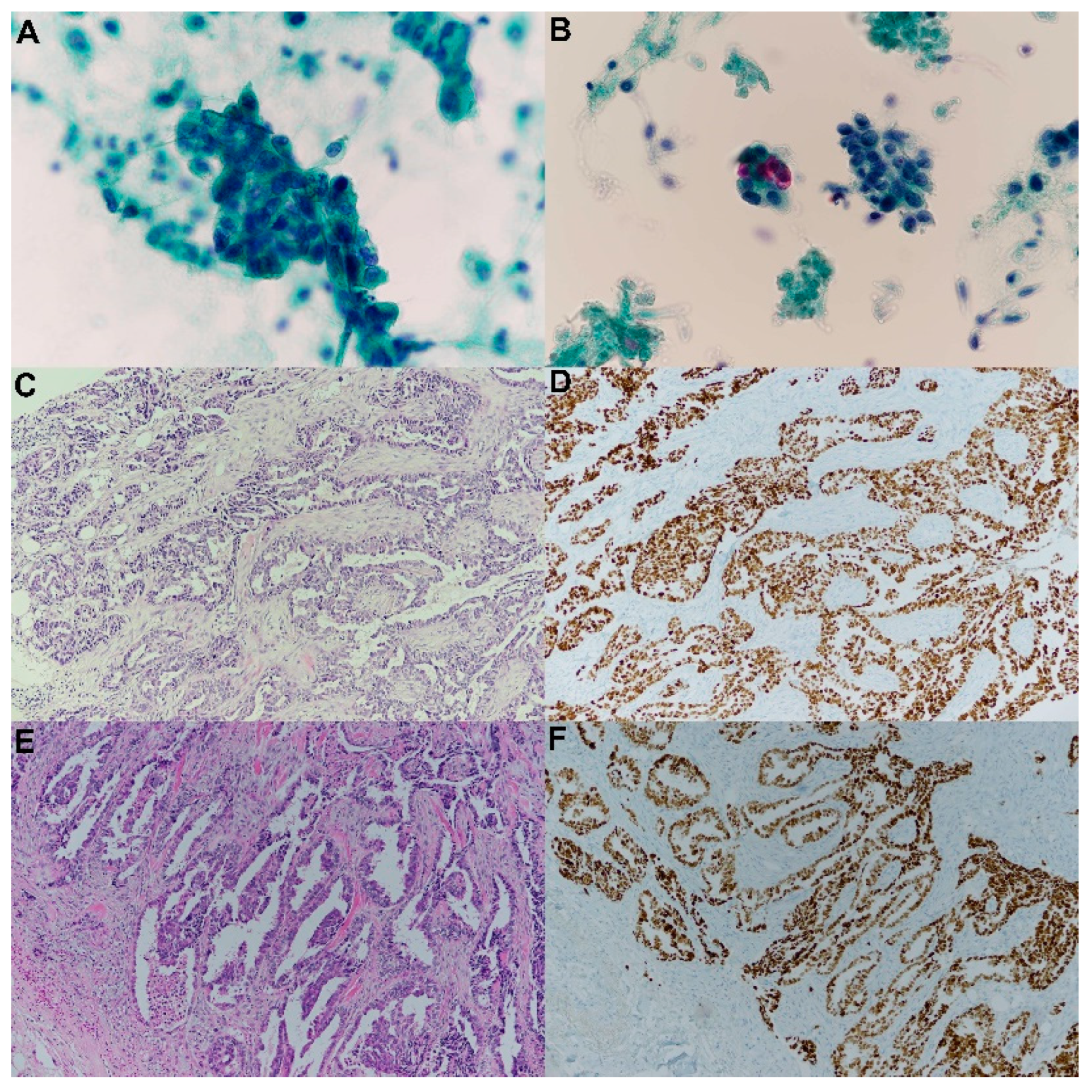 Reports 06 00008 g0a1