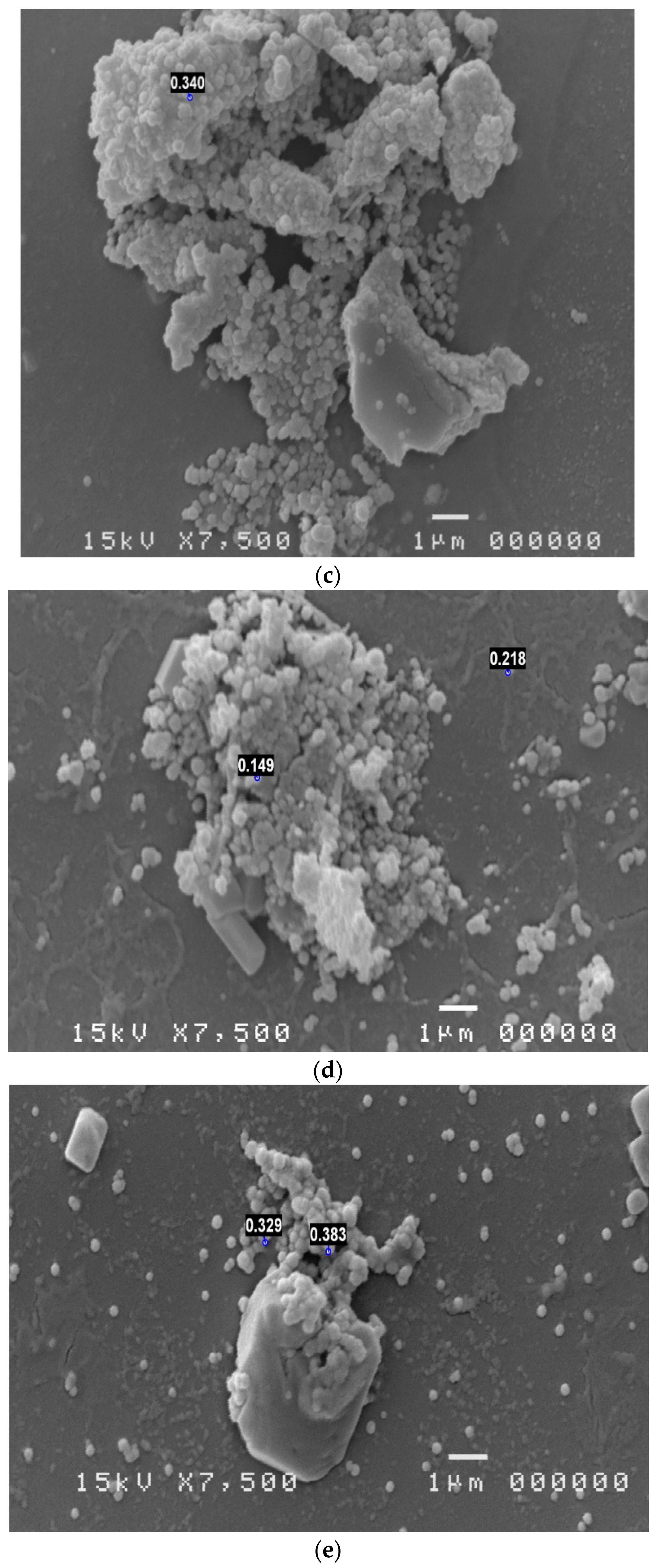 Reports 06 00010 g003b