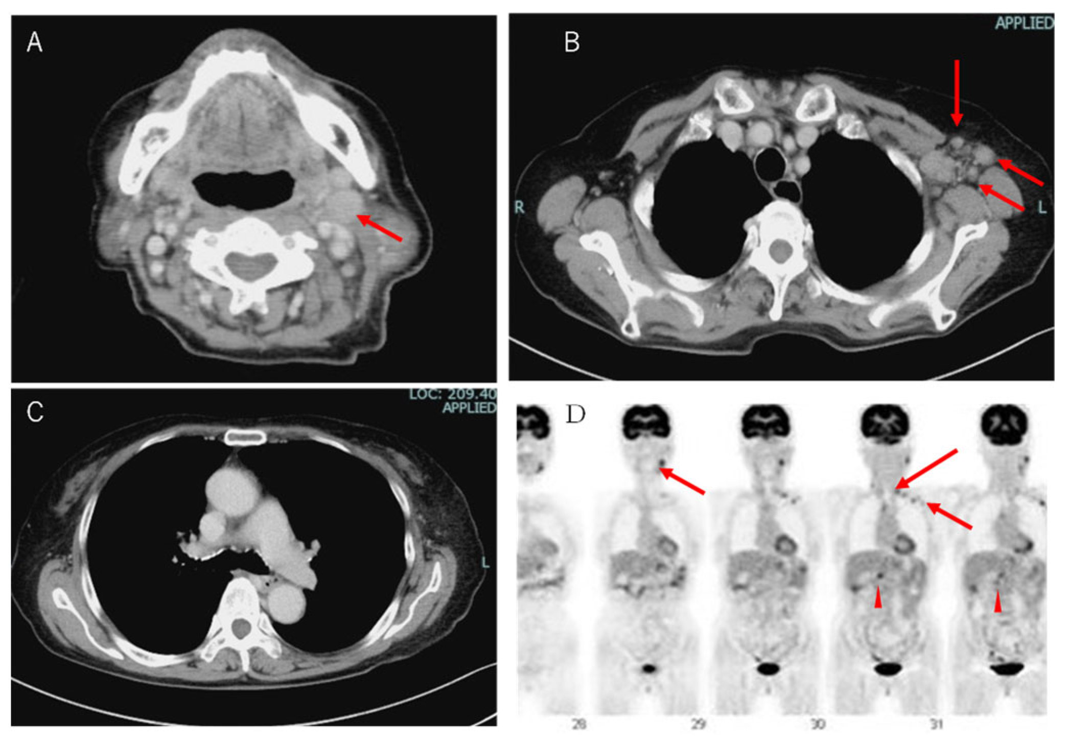 Reports 06 00019 g001