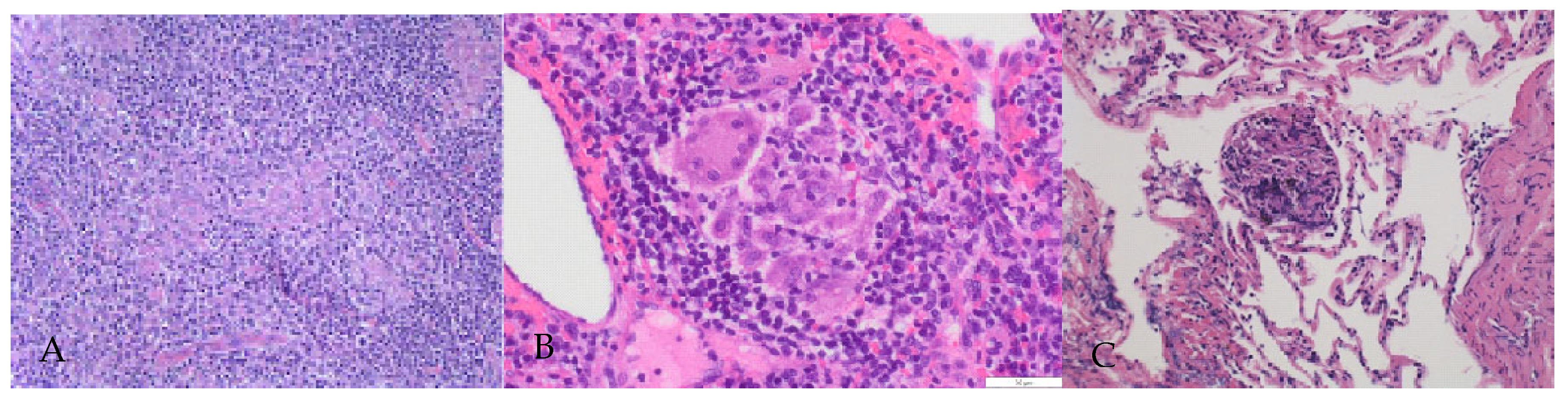 Reports 06 00019 g002