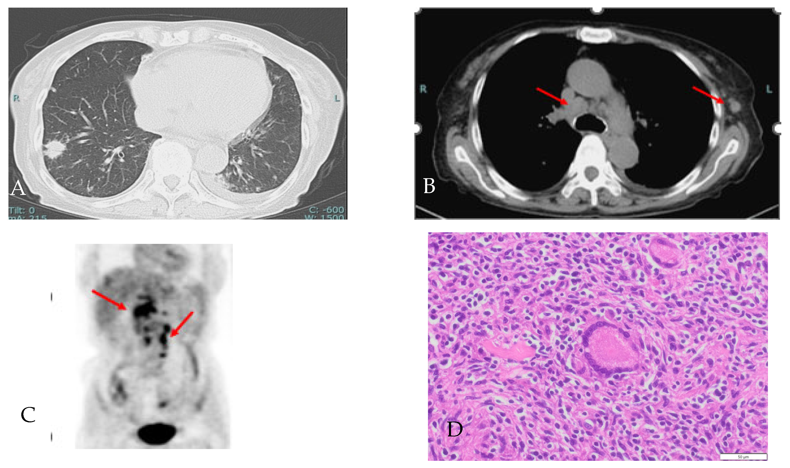 Reports 06 00019 g003